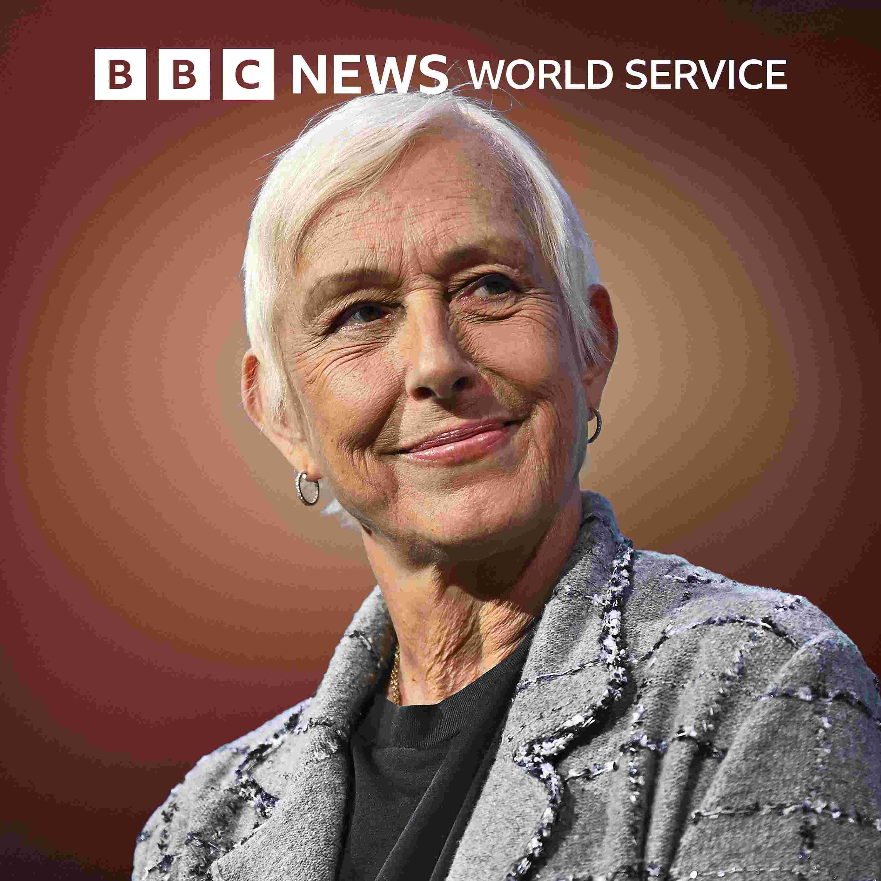 http://ichef.bbci.co.uk/images/ic/3000x3000/p0lkh9q5.jpg