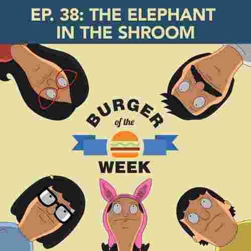 http://multiverseradio.ca/feed/images/botw-ep38elephantintheshroom1.jpg