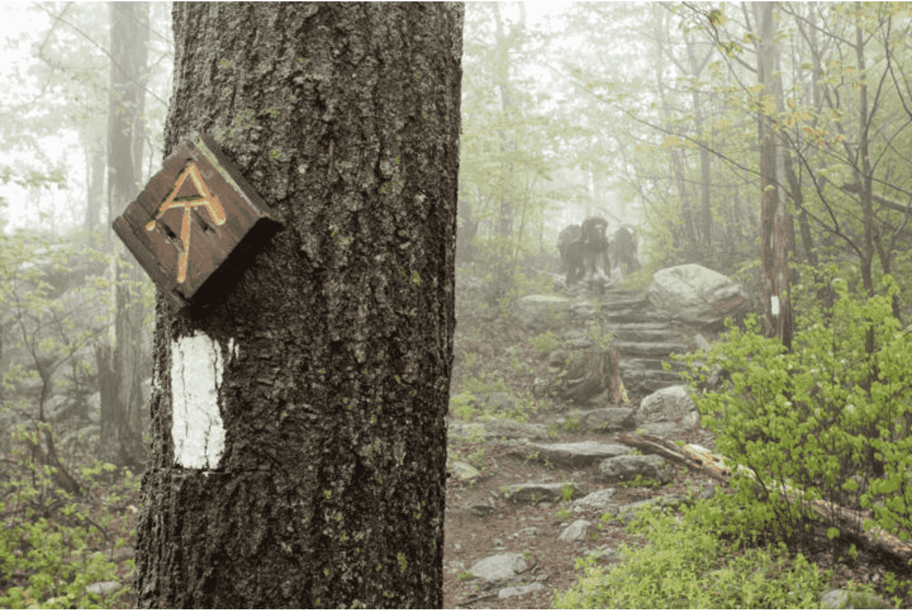 http://quomododicitur.com/wp-content/uploads/2021/03/QDP-Ep-174-Appalachian-Trail.png