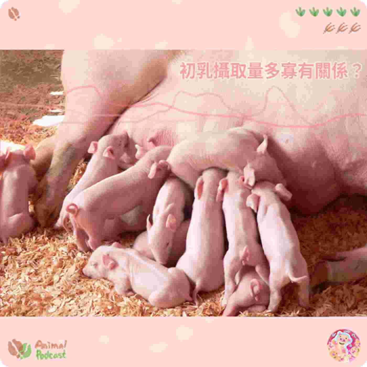 https://d3mww1g1pfq2pt.cloudfront.net/Image/ckrxabrkp58t60985m8j6a4j0/yvZl4gW6CkE2HZabTBOk_.jpg