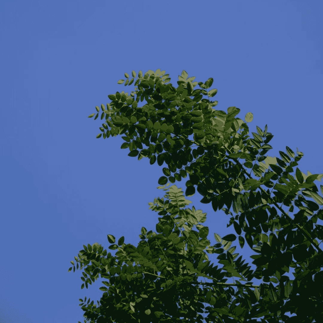 https://image.xyzcdn.net/FsMidESj70CaCi9hh2tgPbp-1j_j.png