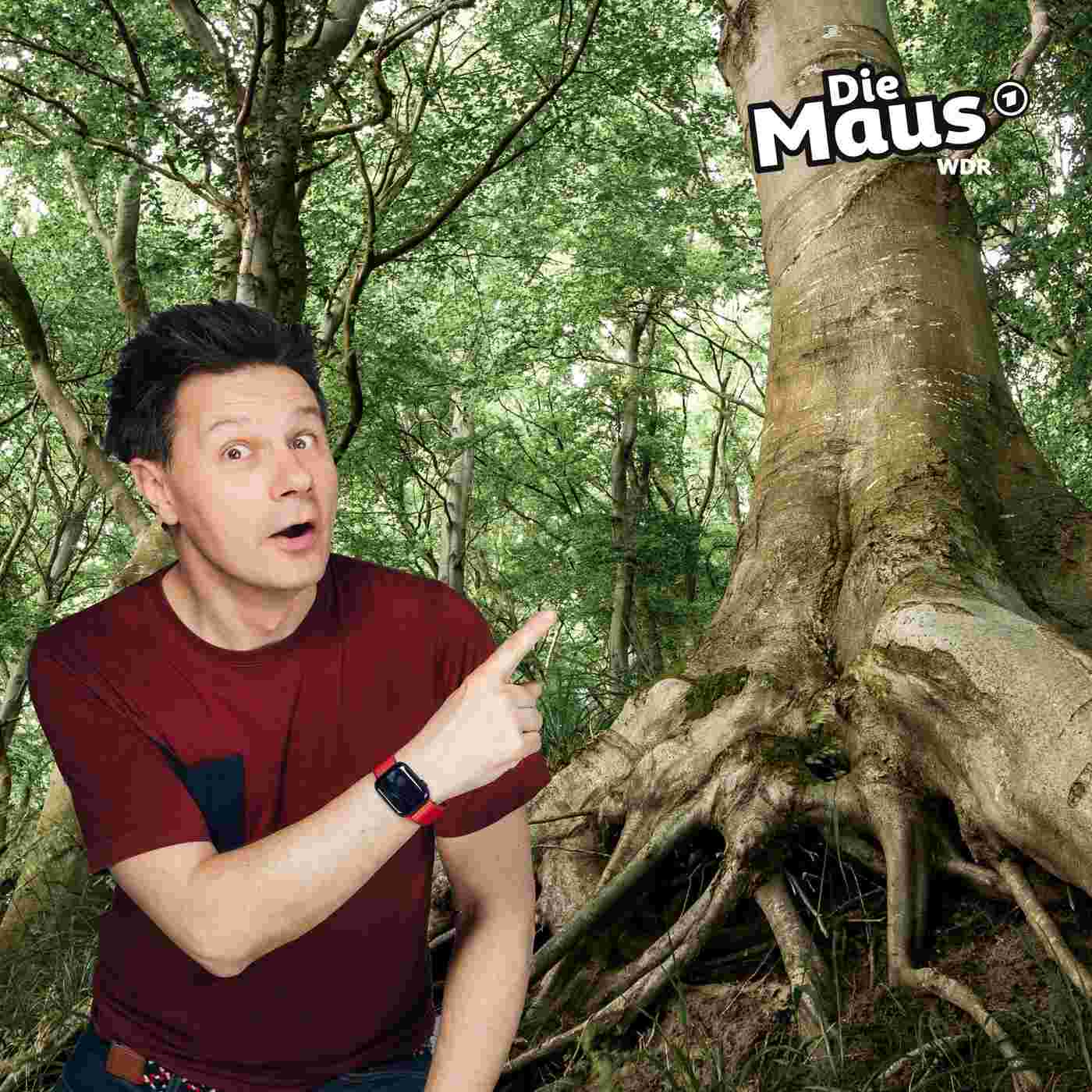 https://kinder.wdr.de/radio/diemaus/audio/diemaus-60/Wurzeln-100~_v-Podcast.jpg