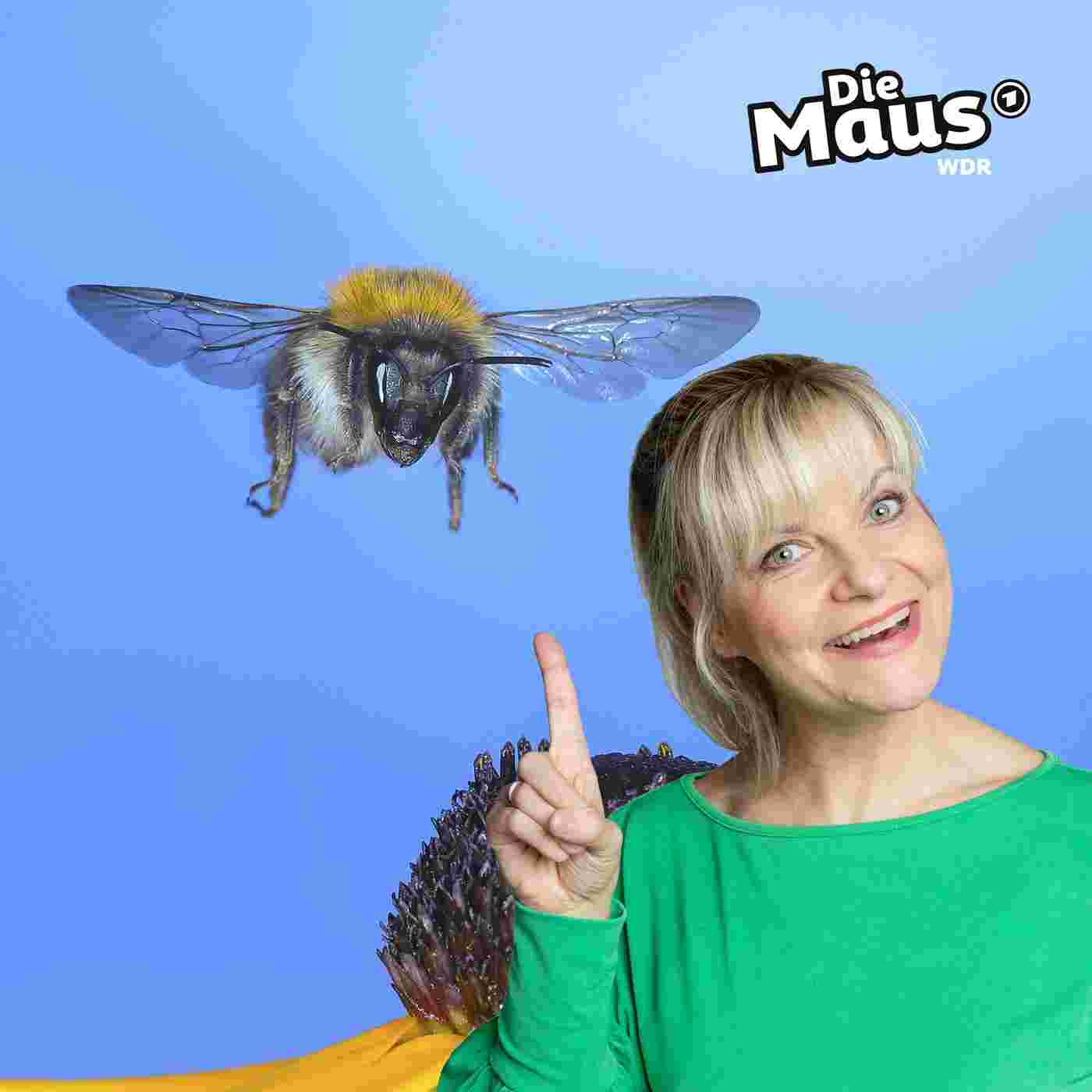 https://kinder.wdr.de/radio/diemaus/audio/diemaus-60/mzh-100~_v-Podcast.jpg
