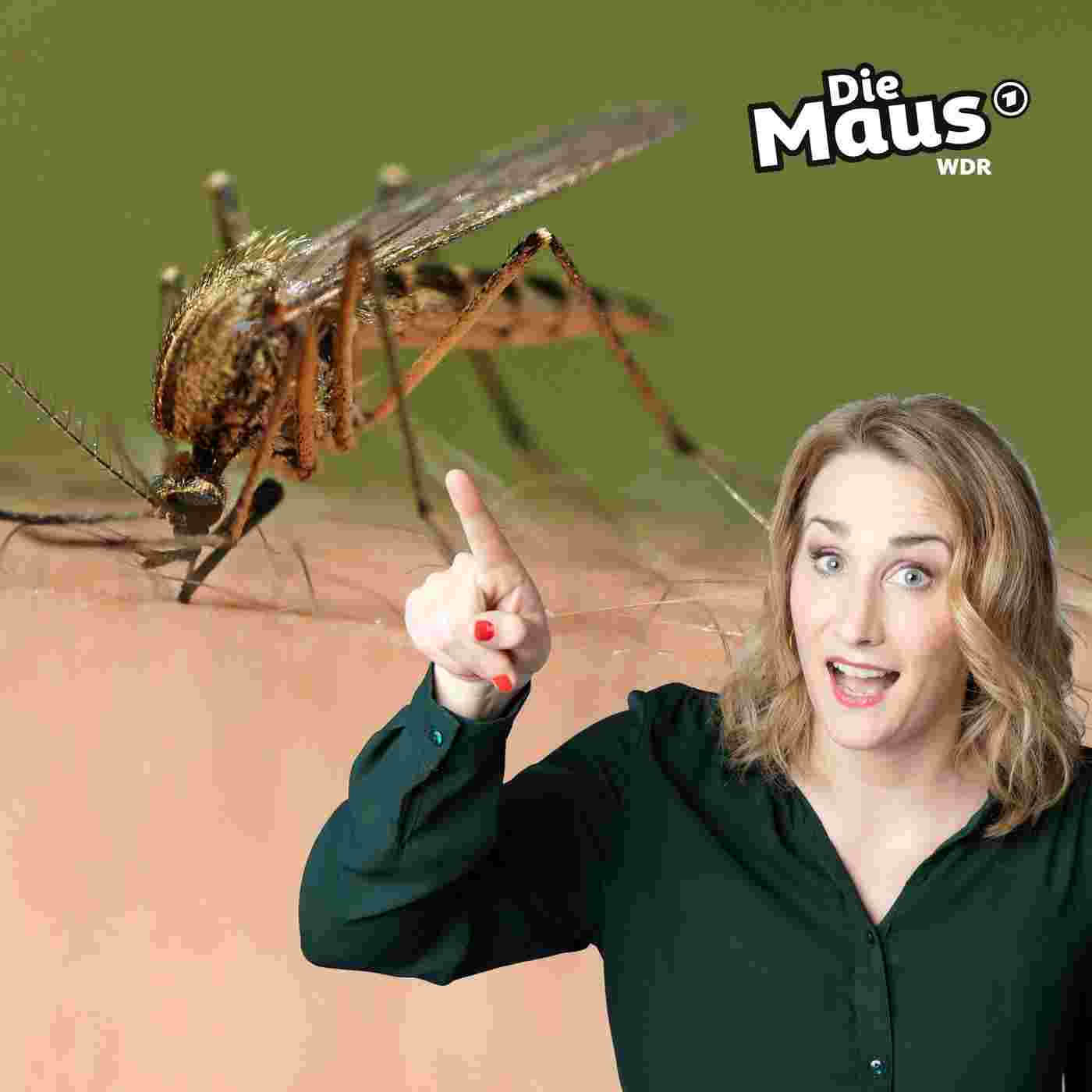 https://kinder.wdr.de/radio/diemaus/audio/diemaus-60/podcast-bilder-482~_v-Podcast.jpg