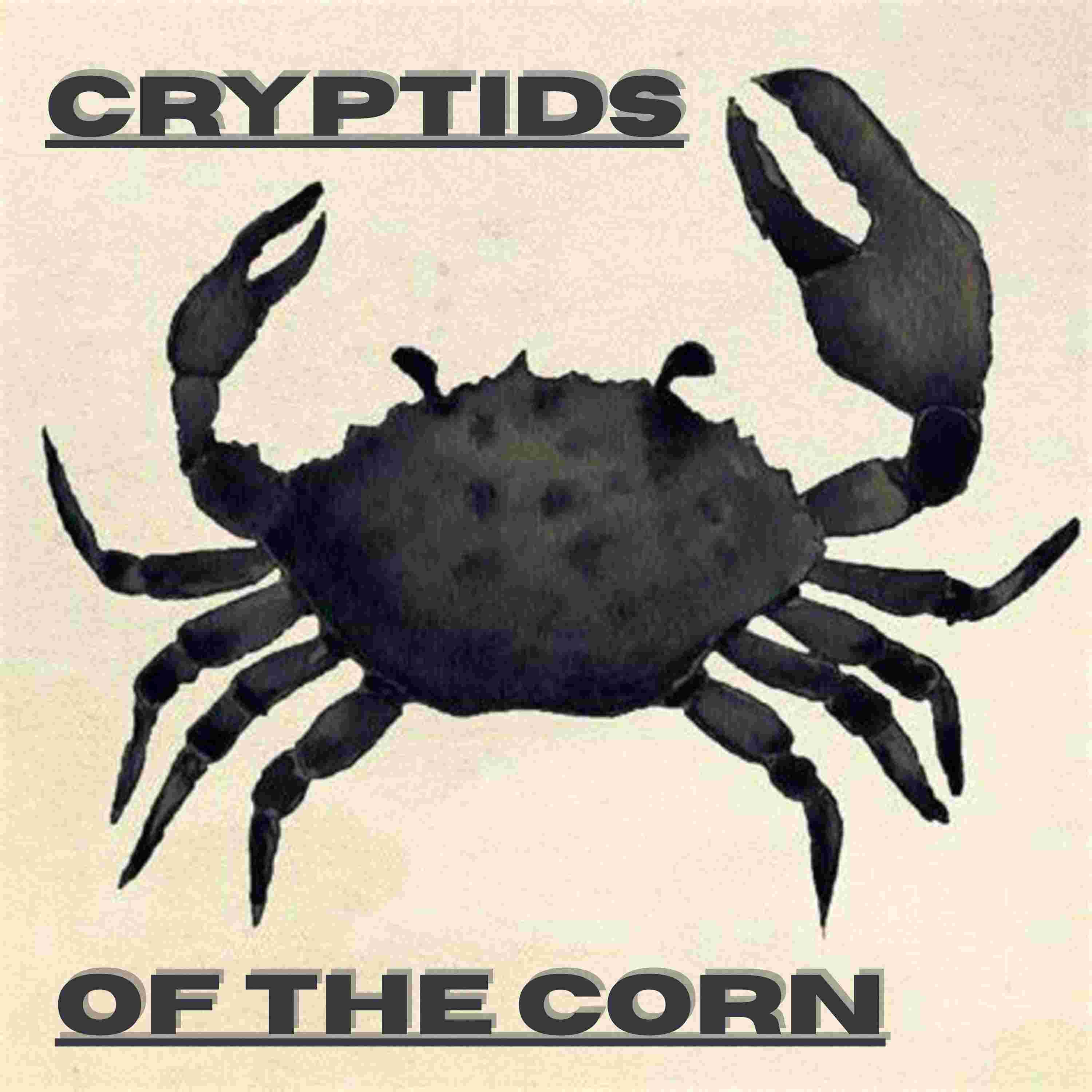 https://media.redcircle.com/images/2025/7/10/0/7b61667d-cbf2-4979-a0fd-970632813984_cryptids.jpg