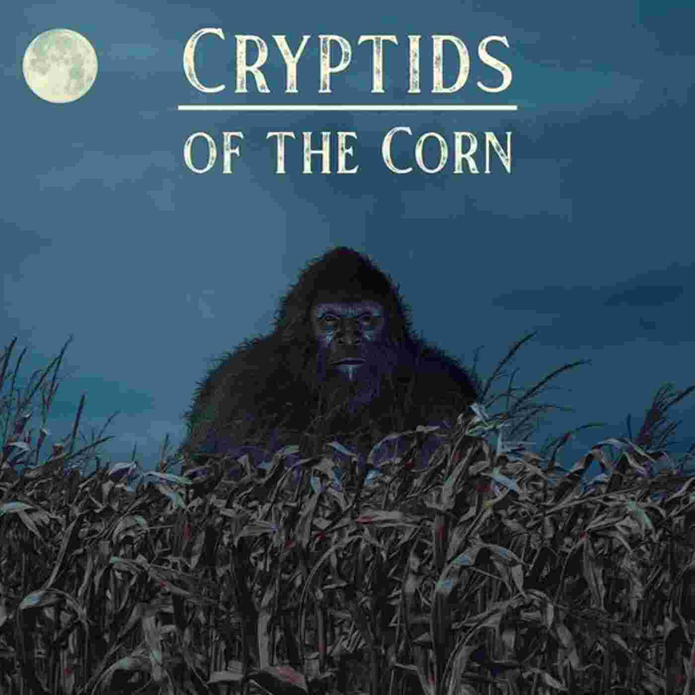 https://media.redcircle.com/images/2025/7/31/20/40335bf8-9026-4df4-a8dd-de1803acce80_bigfoot.jpg