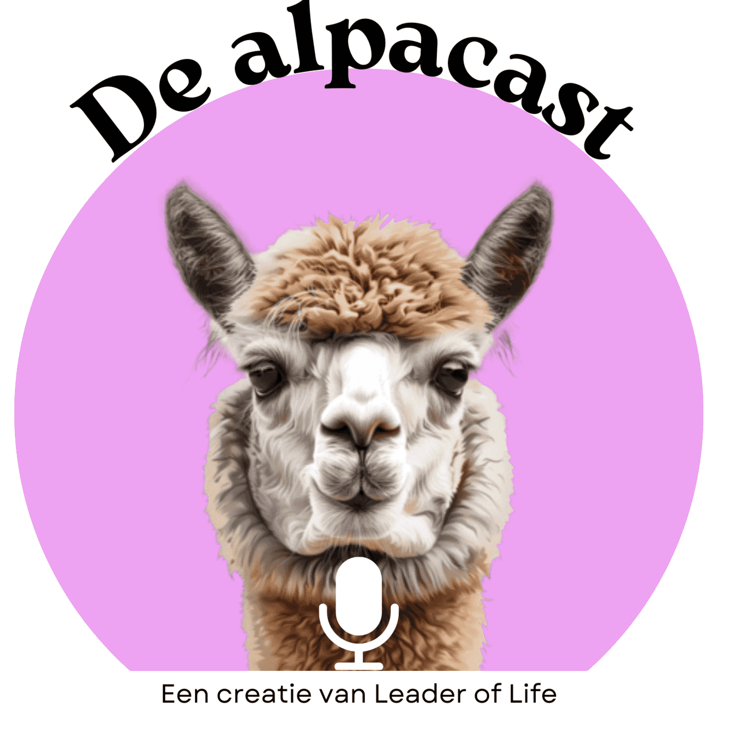 https://media.rss.com/alpacast/ep_cover_20250322_030339_54603aaaeda4e6a62ad0602f2675c7fe.png