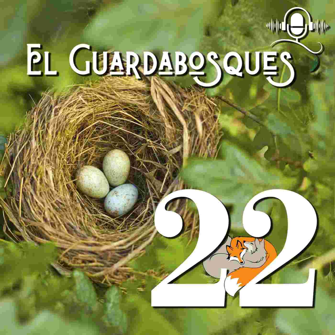 https://media.rss.com/el-guardabosques-wildpodcast/cover_3b14bd52a0629cd816ce72d43d1f153e.jpg