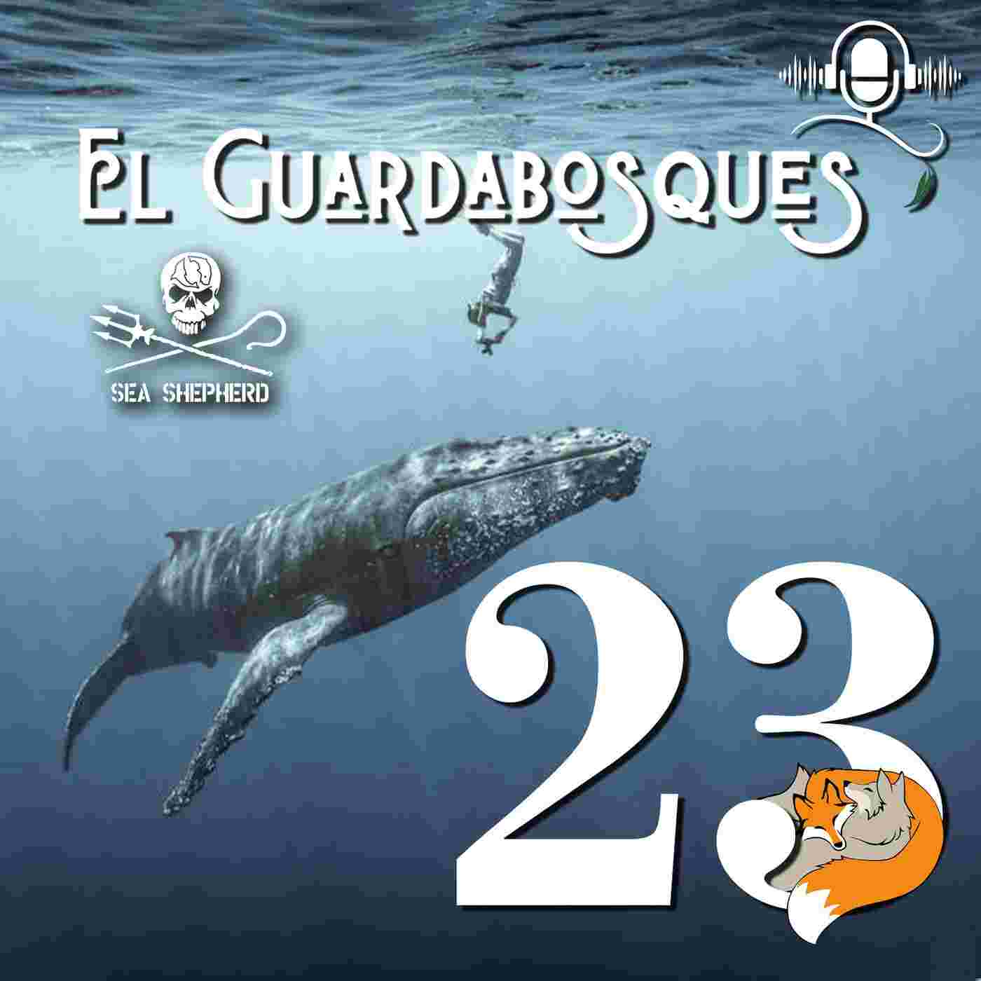 https://media.rss.com/el-guardabosques-wildpodcast/cover_67ec5b26bdd8e8a0f9f1caaf8aacab5e.jpg
