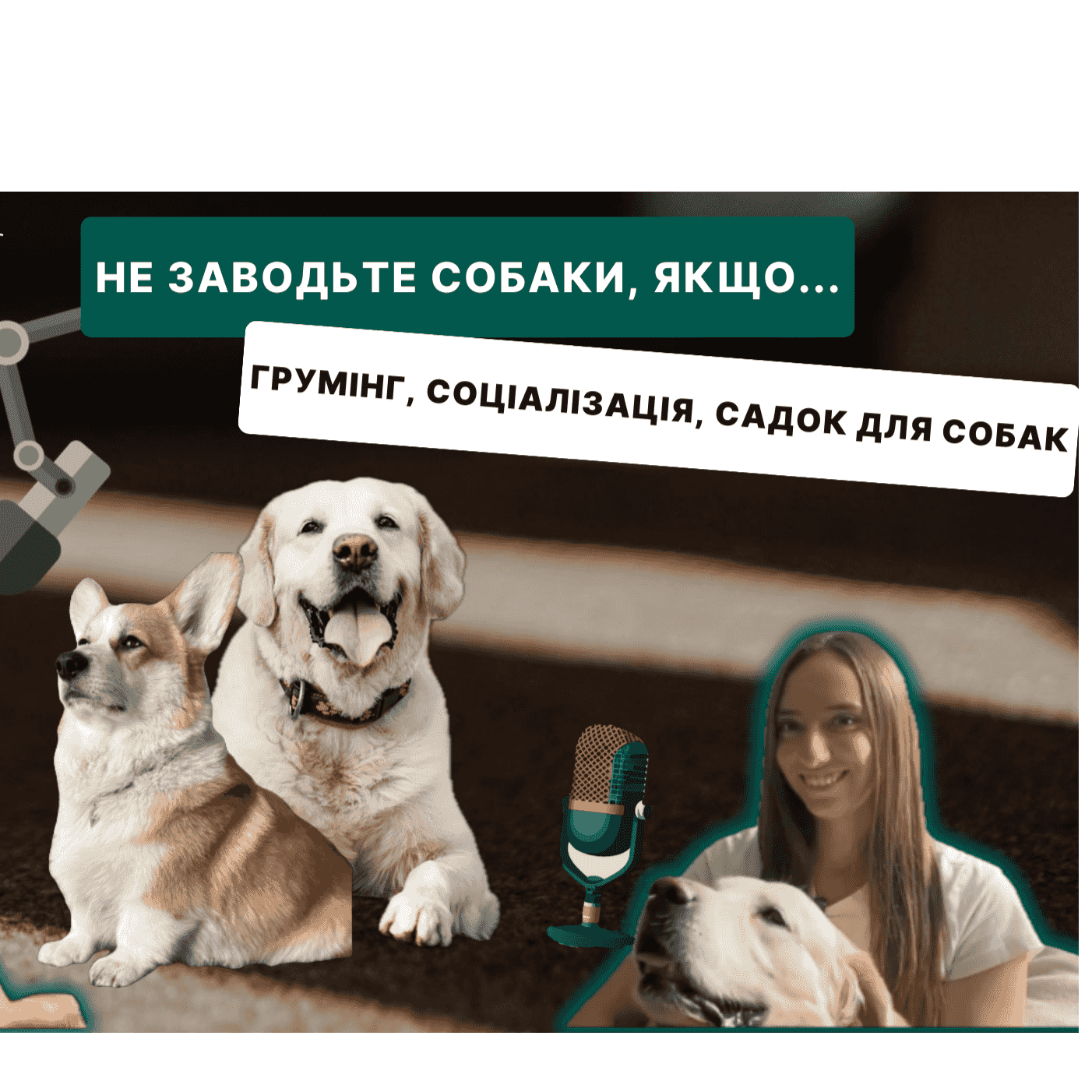 https://media.rss.com/petstalk/ep_cover_20240528_090506_848ab3c65b8f2be49a33c4382ef522cf.png