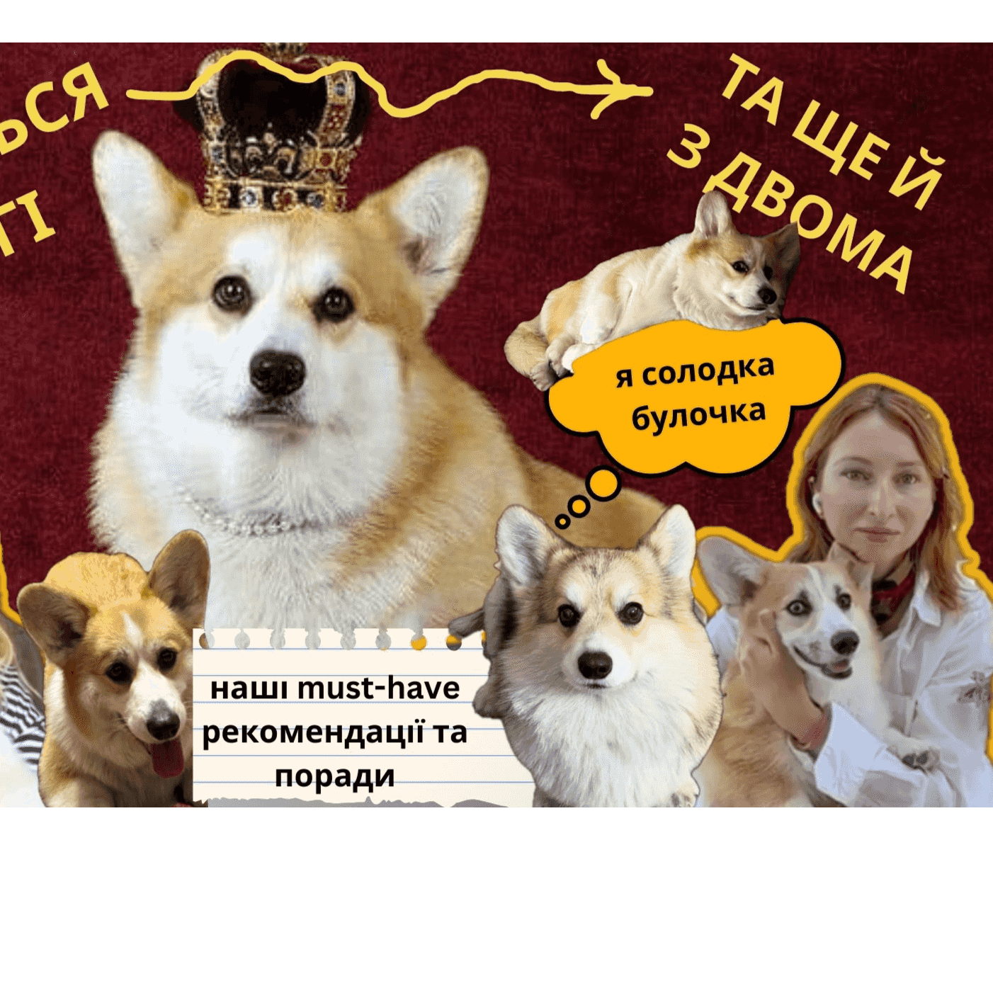 https://media.rss.com/petstalk/ep_cover_20240620_090608_2dfd912c138224a94fdf618537b570bc.png