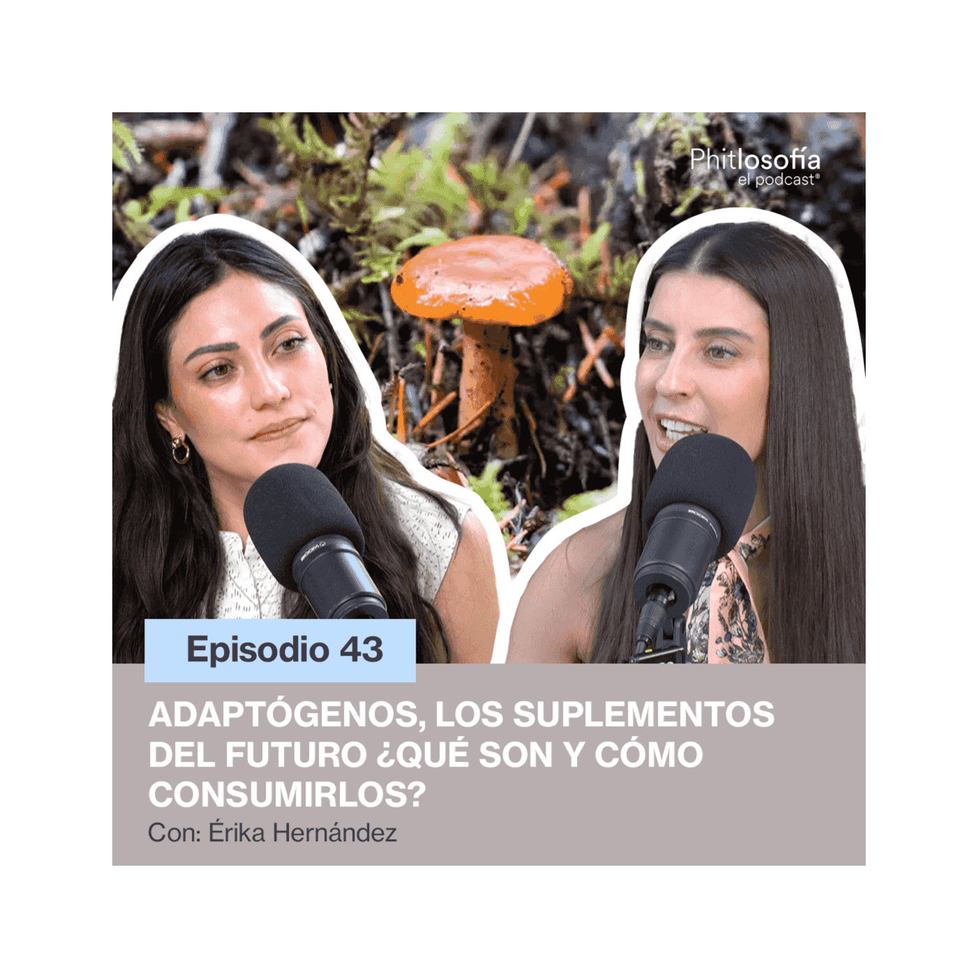 https://media.rss.com/phitlosofia/ep_cover_20250603_050615_f285f93887cecb3427f871252521ef24.png