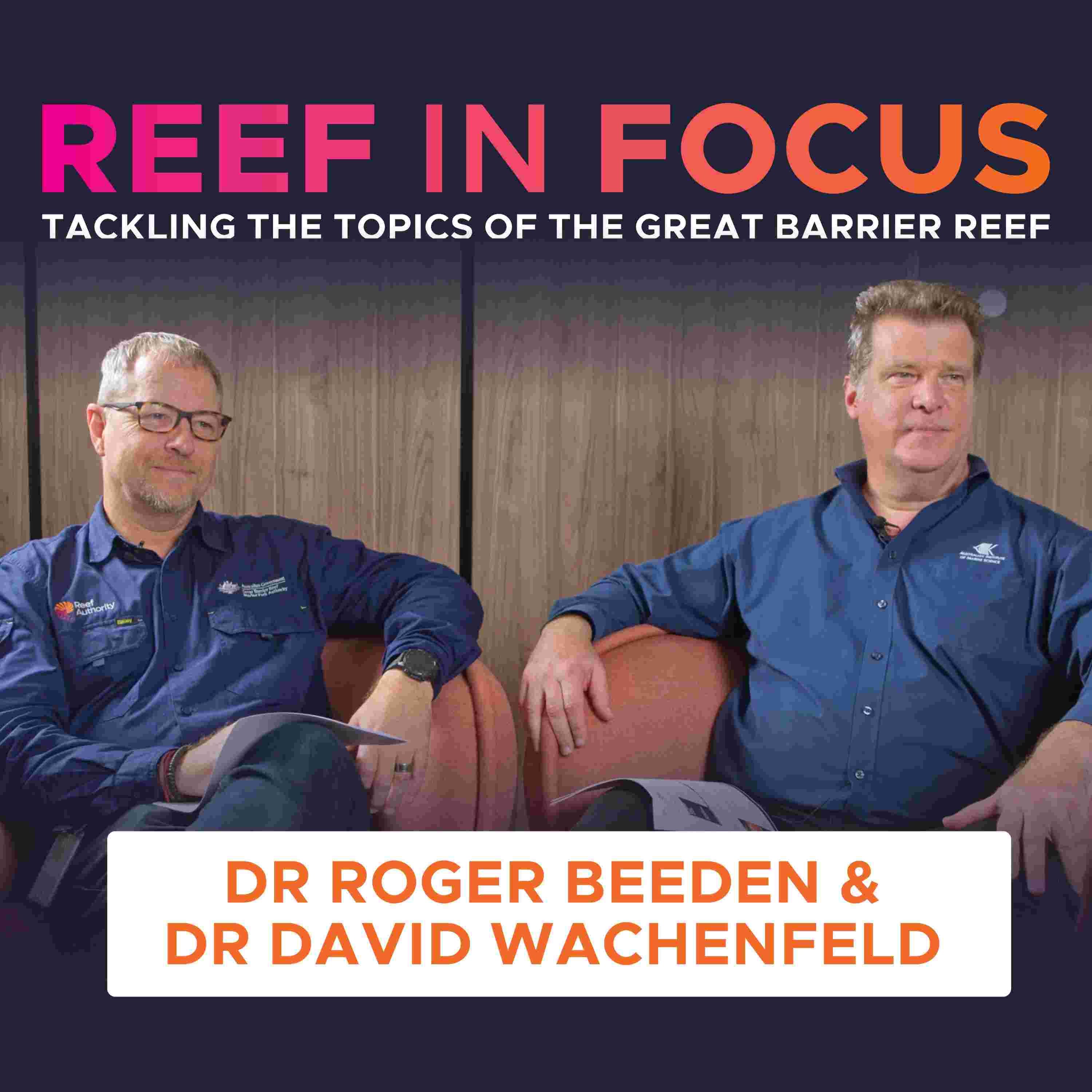 https://media.rss.com/reef-in-focus/ep_cover_20250117_040116_269d8c084690ebc9864d055dca66ac6e.jpg