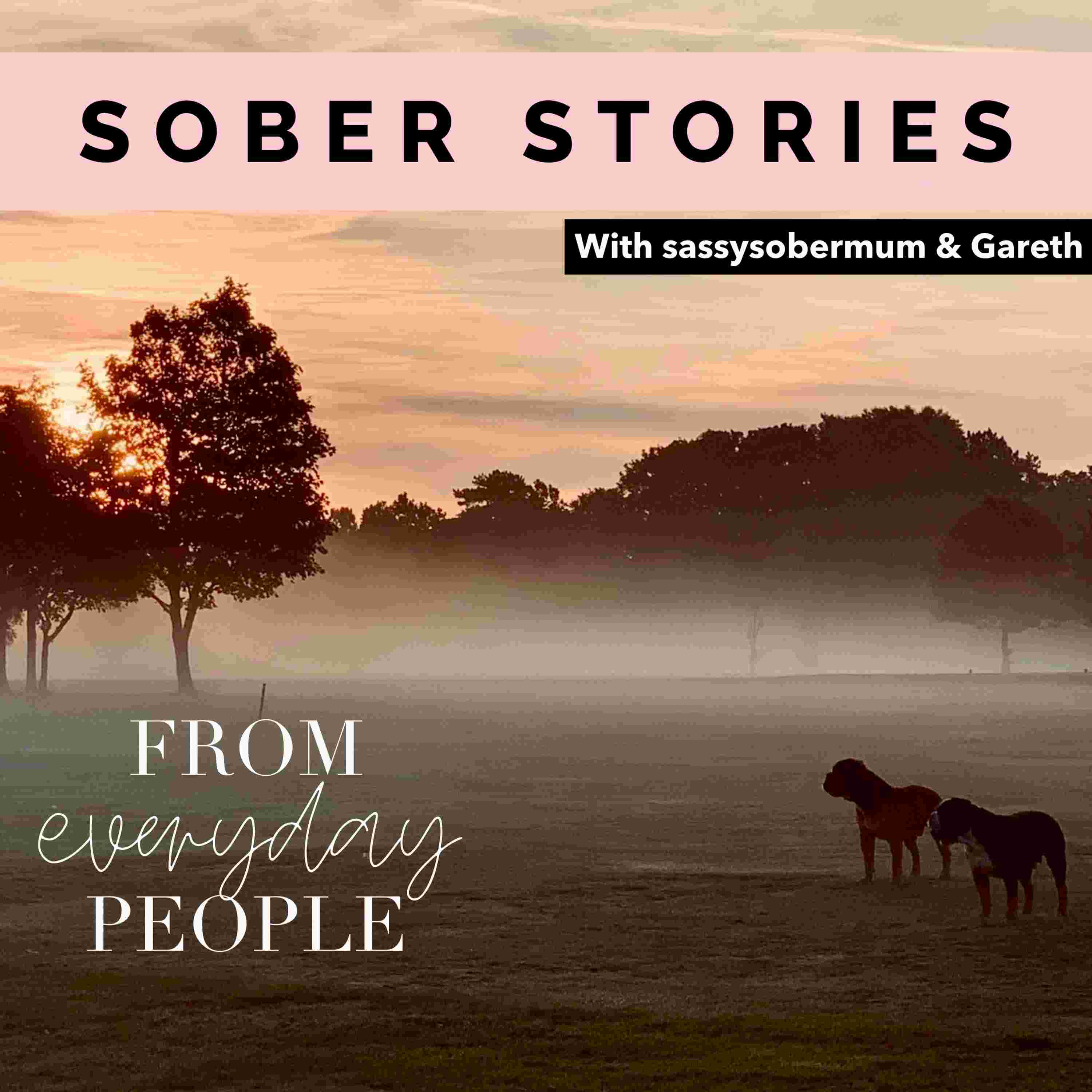 https://media.rss.com/soberstories/ep_cover_20241107_091157_08d3339713b90c12e868c70bcad966ad.jpg