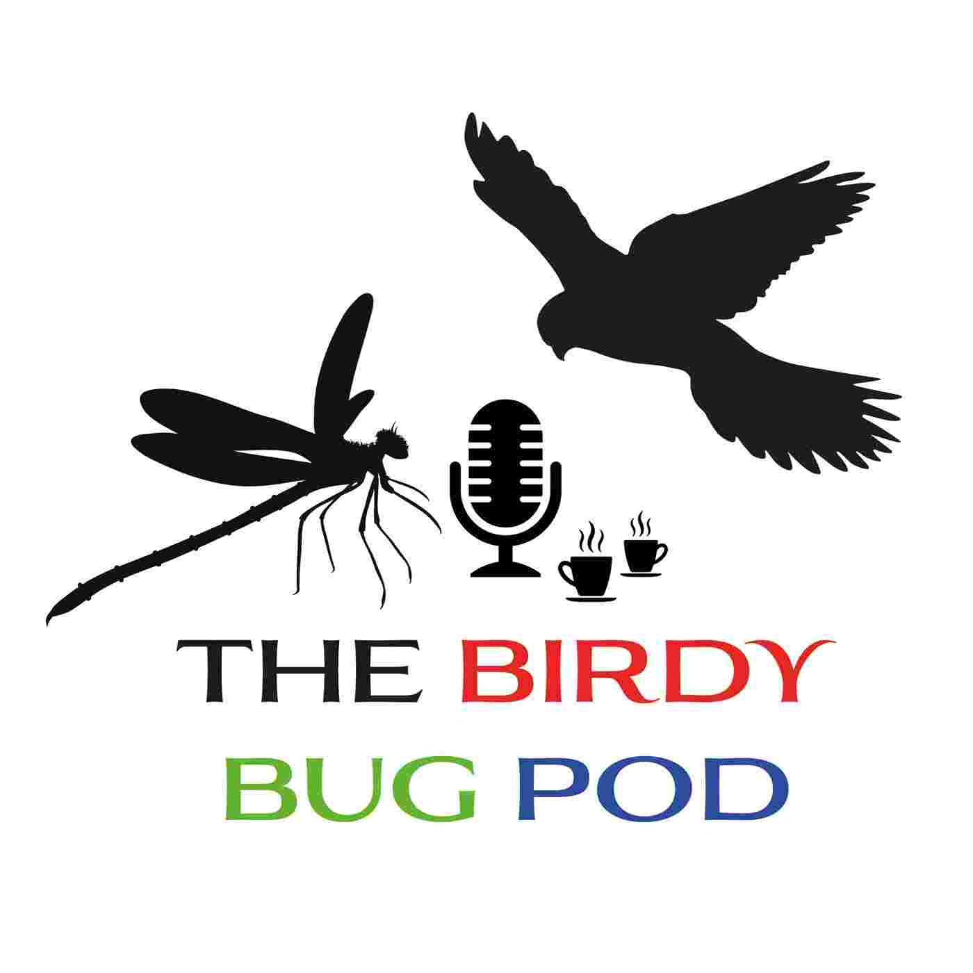 https://media.rss.com/thebirdybugpod/ep_cover_20240603_110659_9a98a015d92fbc506c4062955c3be843.jpg