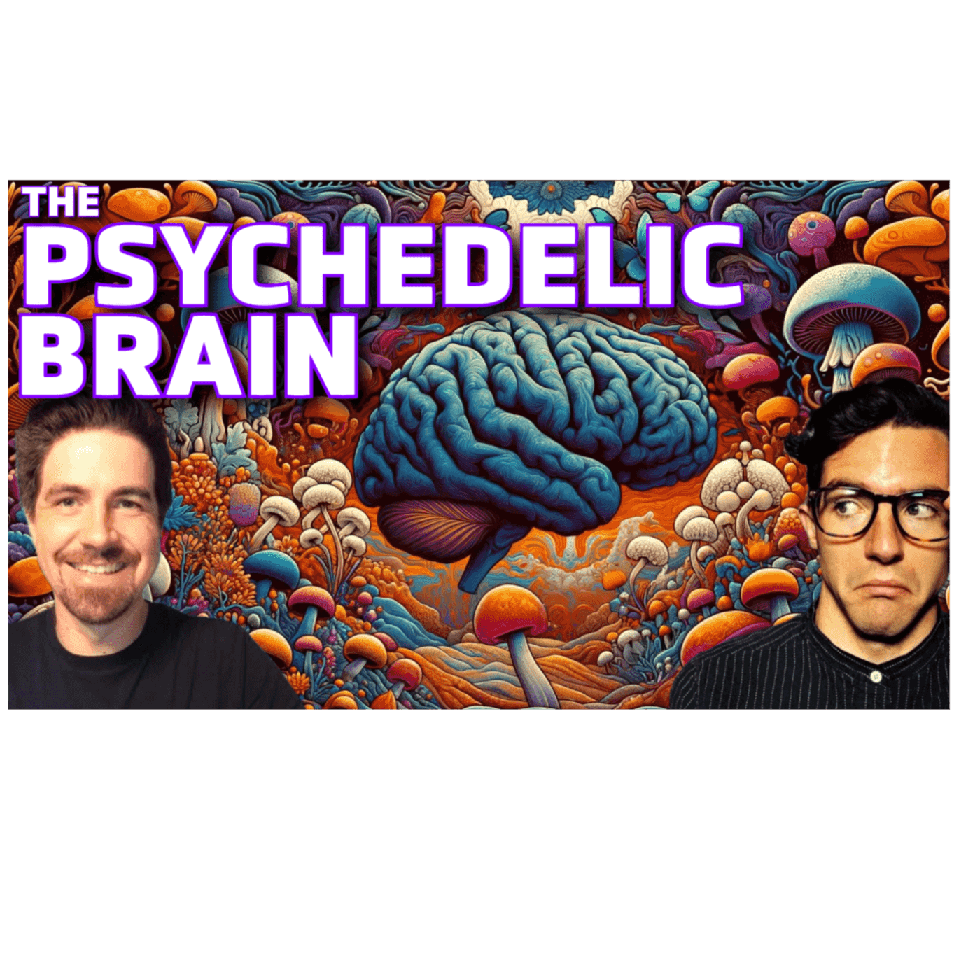 https://media.rss.com/thesocialbrain/ep_cover_20240318_090315_57bf1a45c09b3918b39280285aabe1ae.png