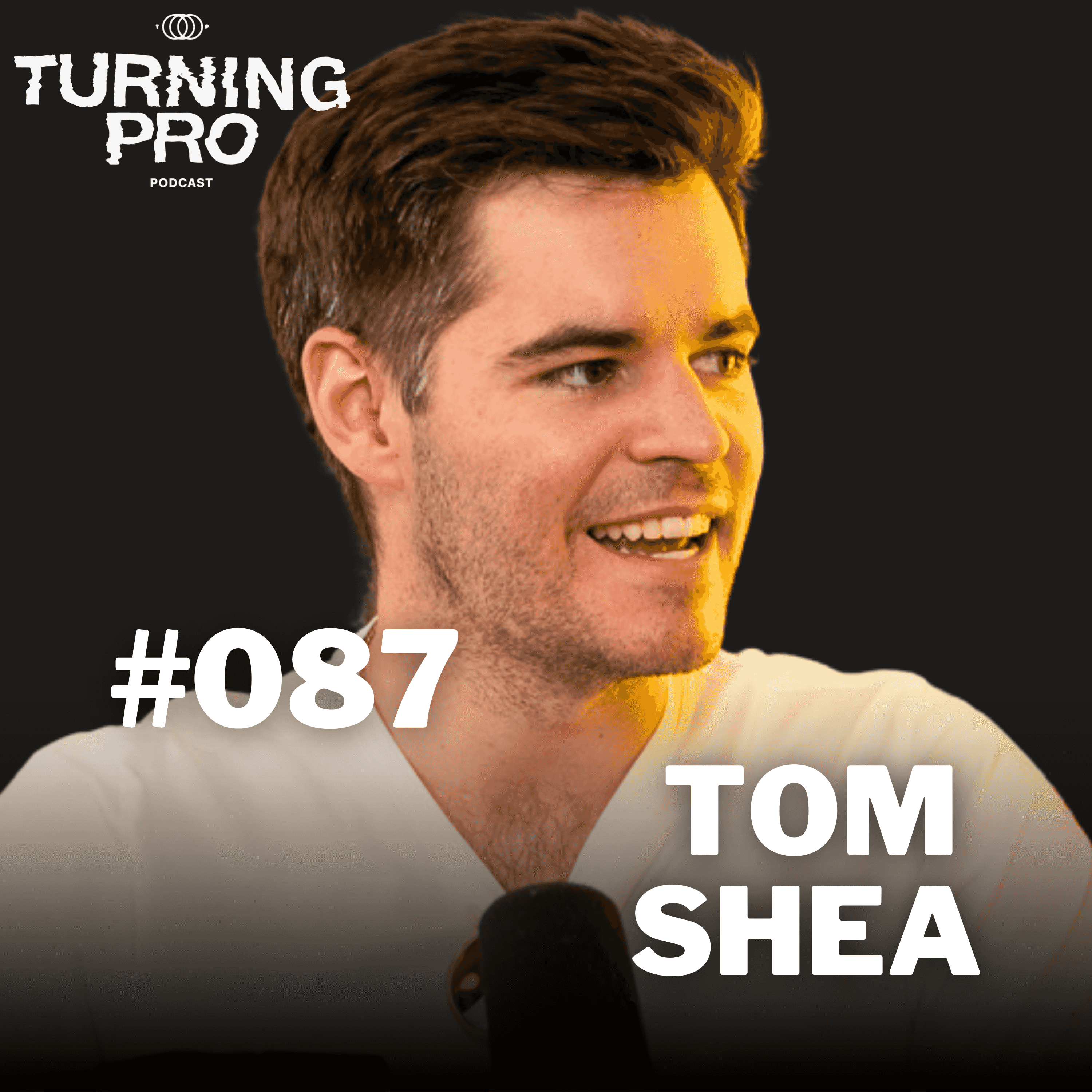https://media.rss.com/turningpro/ep_cover_20250702_060732_eec361b50698954e4c72acbaff658923.png