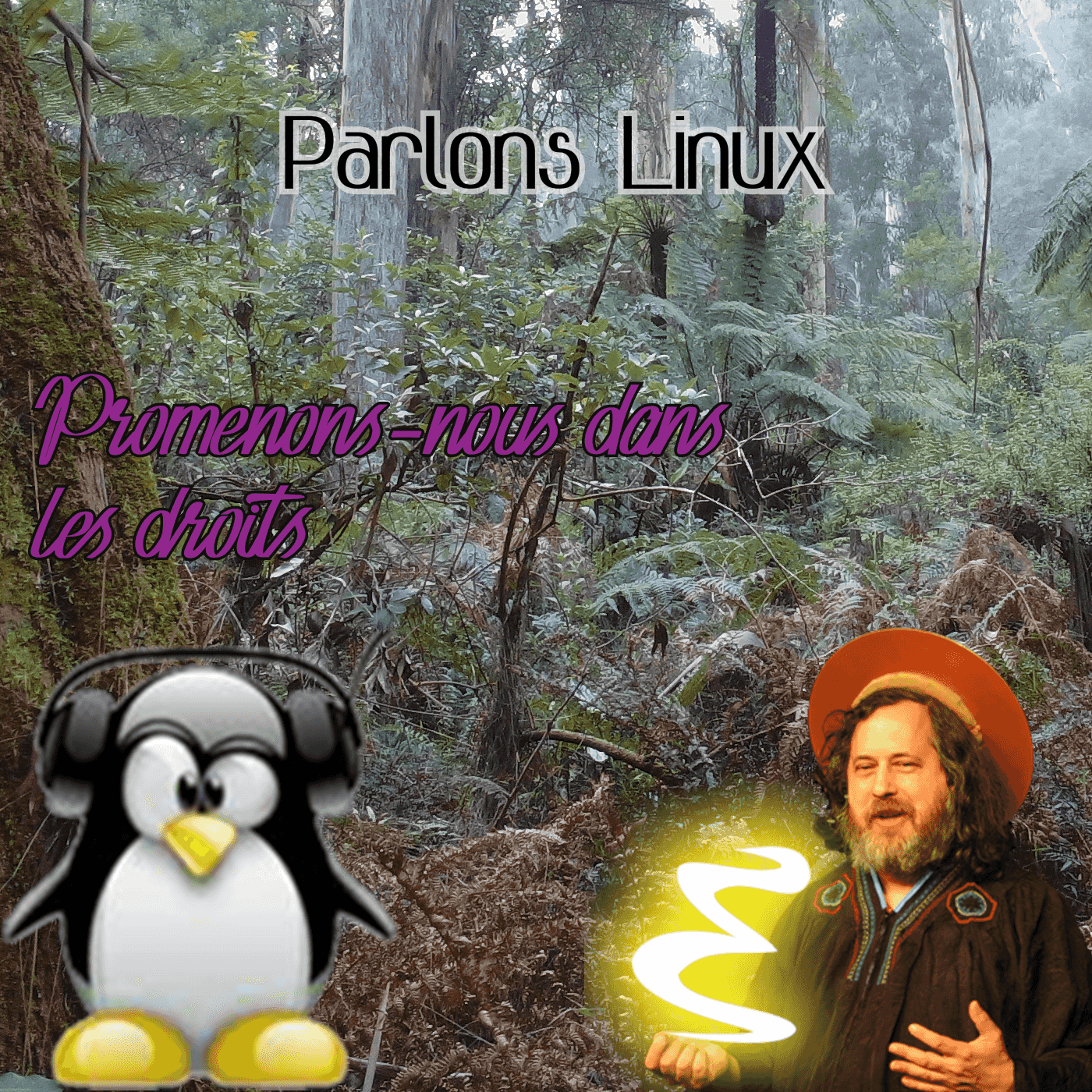 https://parlonslinux.fr/media/podcasts/ParlonsLinuxFR/promenons-nous-dans-les-droits_feed.png