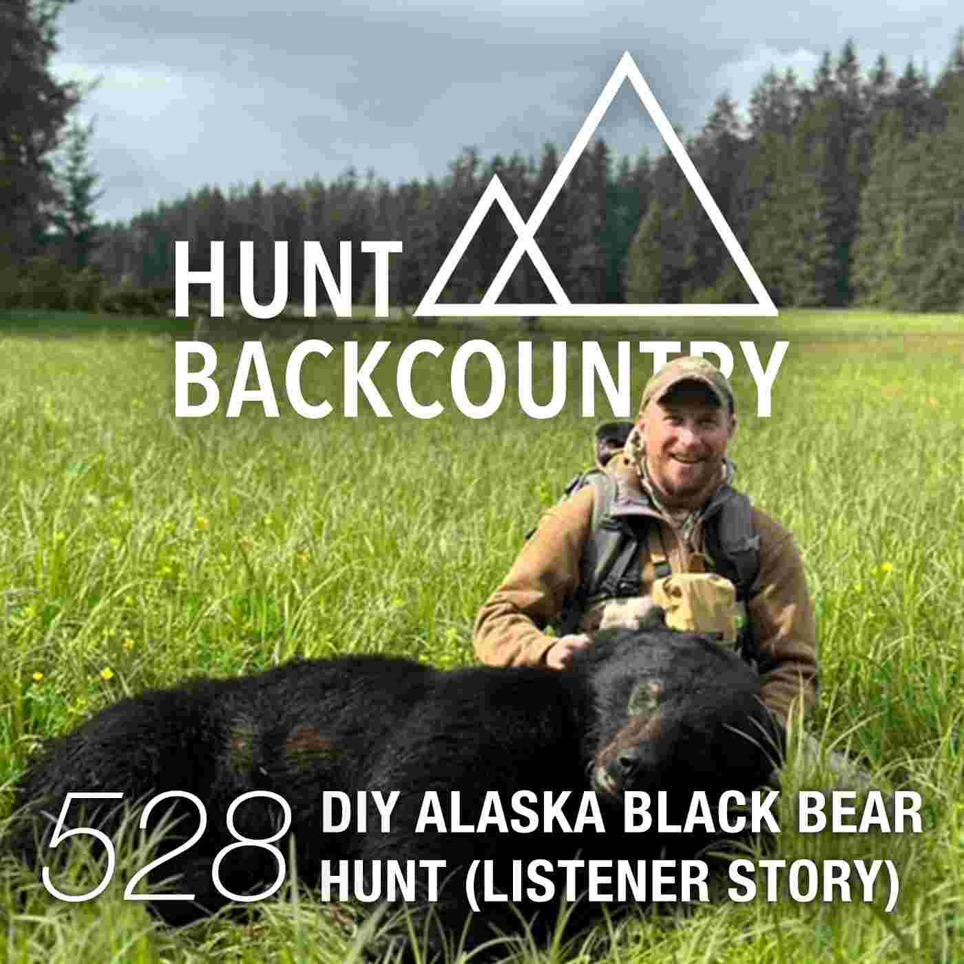 https://pbcdn1.podbean.com/imglogo/ep-logo/pbblog1310813/528-Podcast-Cover.jpg