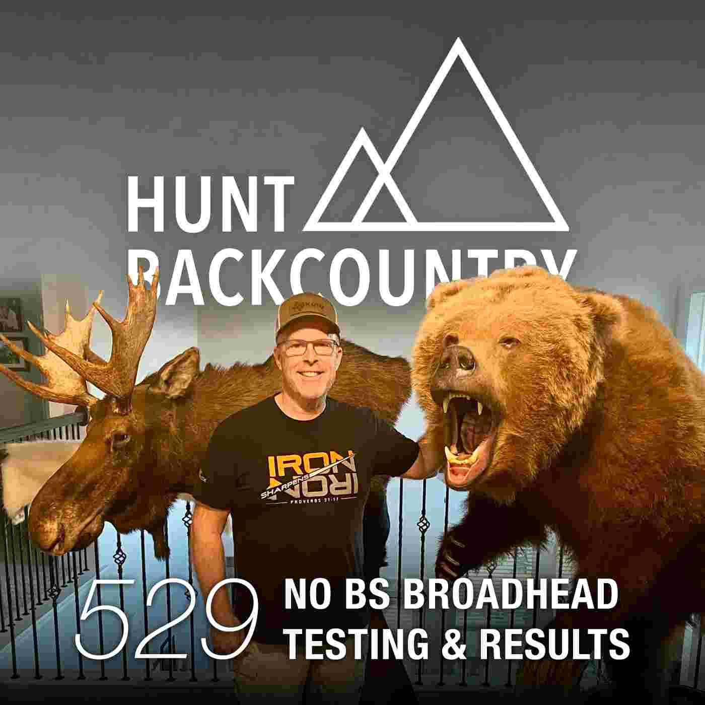 https://pbcdn1.podbean.com/imglogo/ep-logo/pbblog1310813/529-Podcast-Cover.jpg