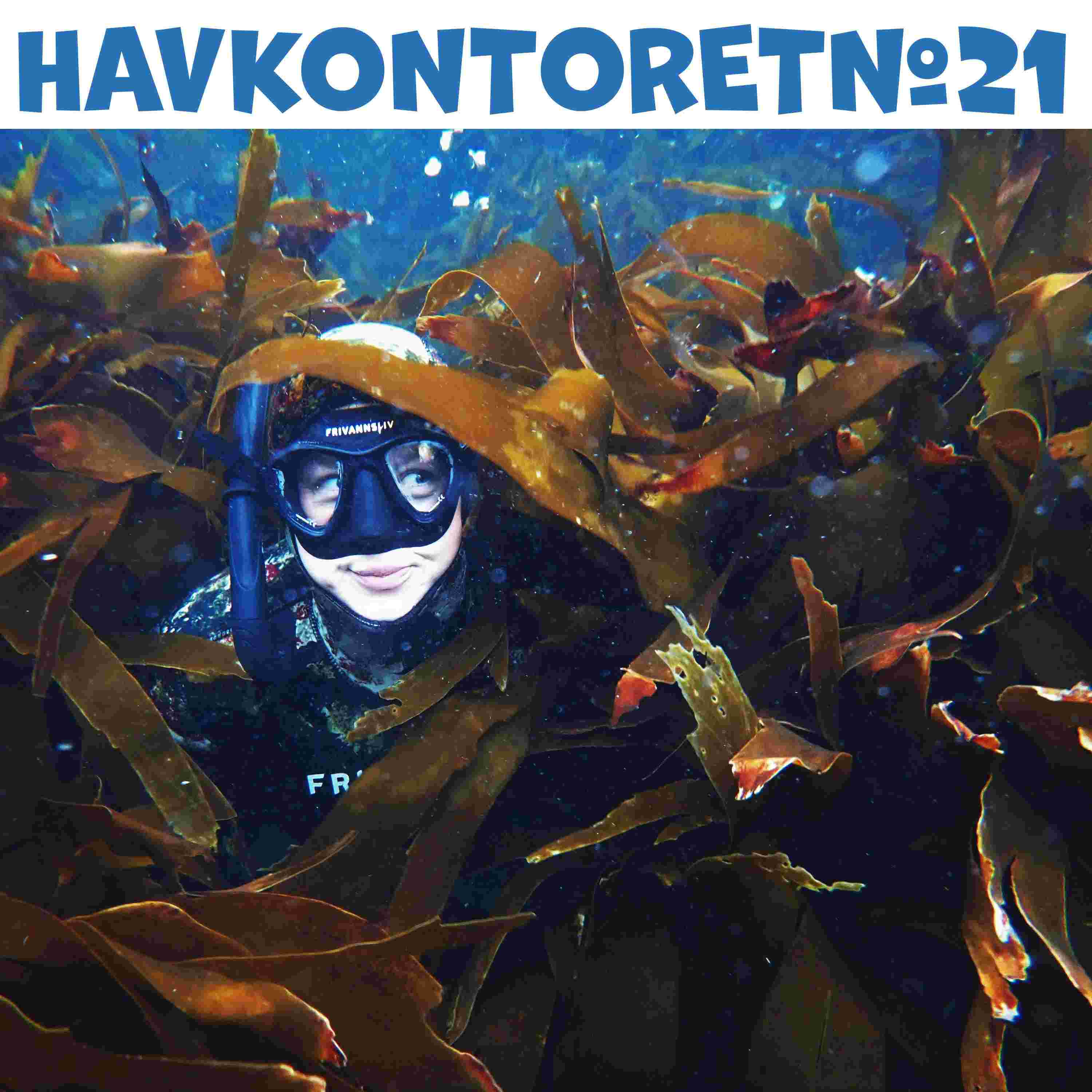 https://pbcdn1.podbean.com/imglogo/ep-logo/pbblog15560033/Havkontoret21-lav_9gg4pw.jpg