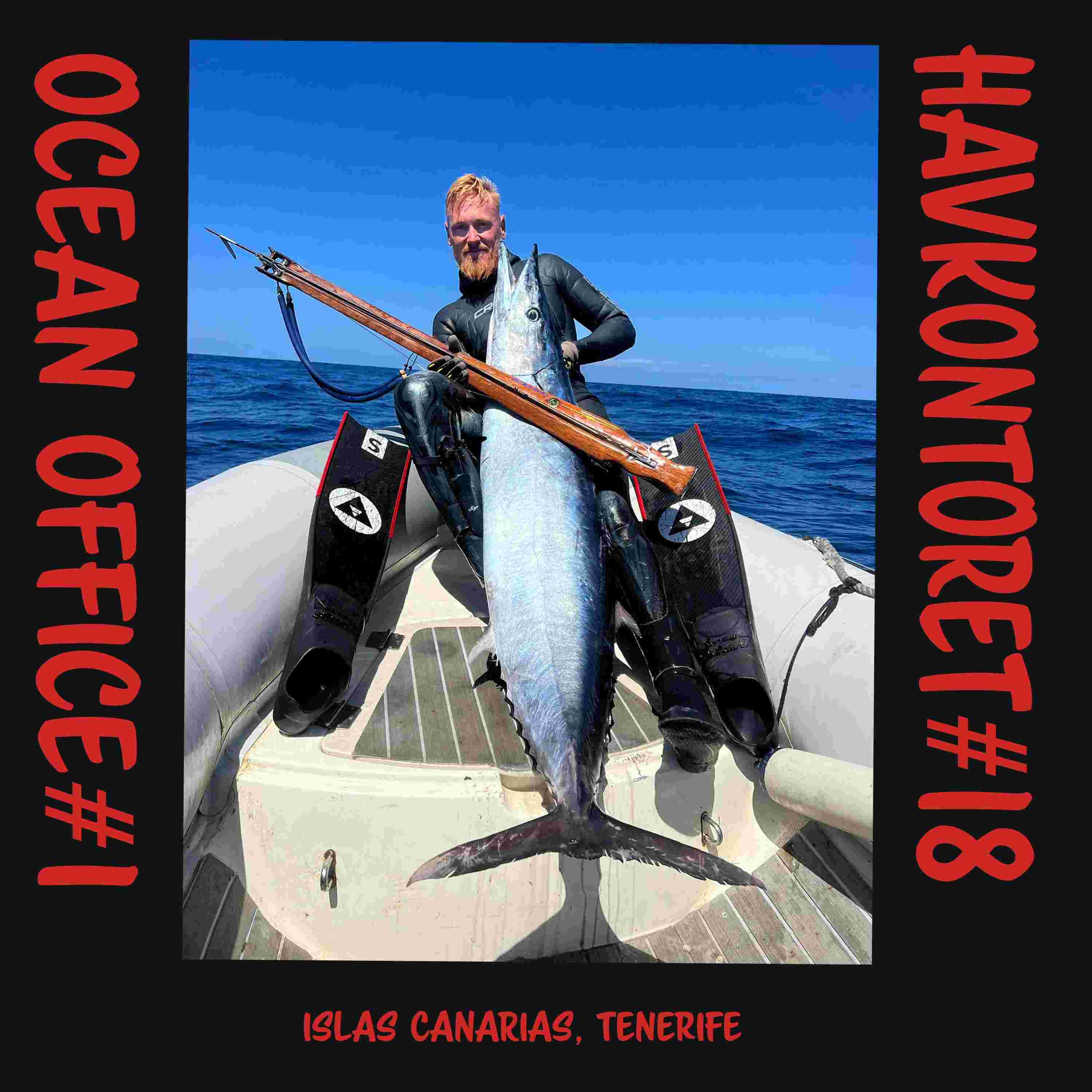 https://pbcdn1.podbean.com/imglogo/ep-logo/pbblog15560033/Oceanoffice-havkontoret_18_aapx4f.jpeg