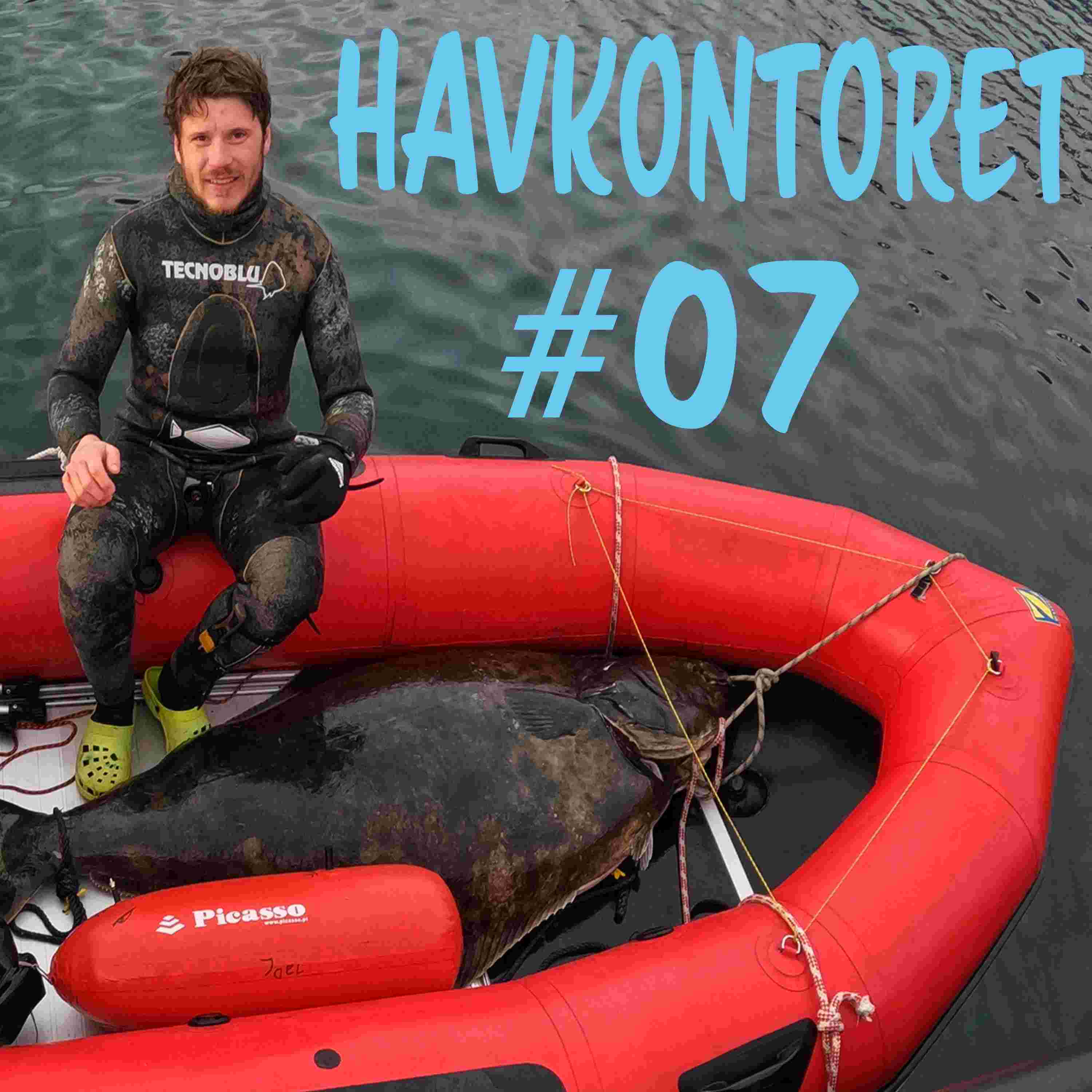https://pbcdn1.podbean.com/imglogo/ep-logo/pbblog15560033/havkontoret07_tf9sn4.jpeg