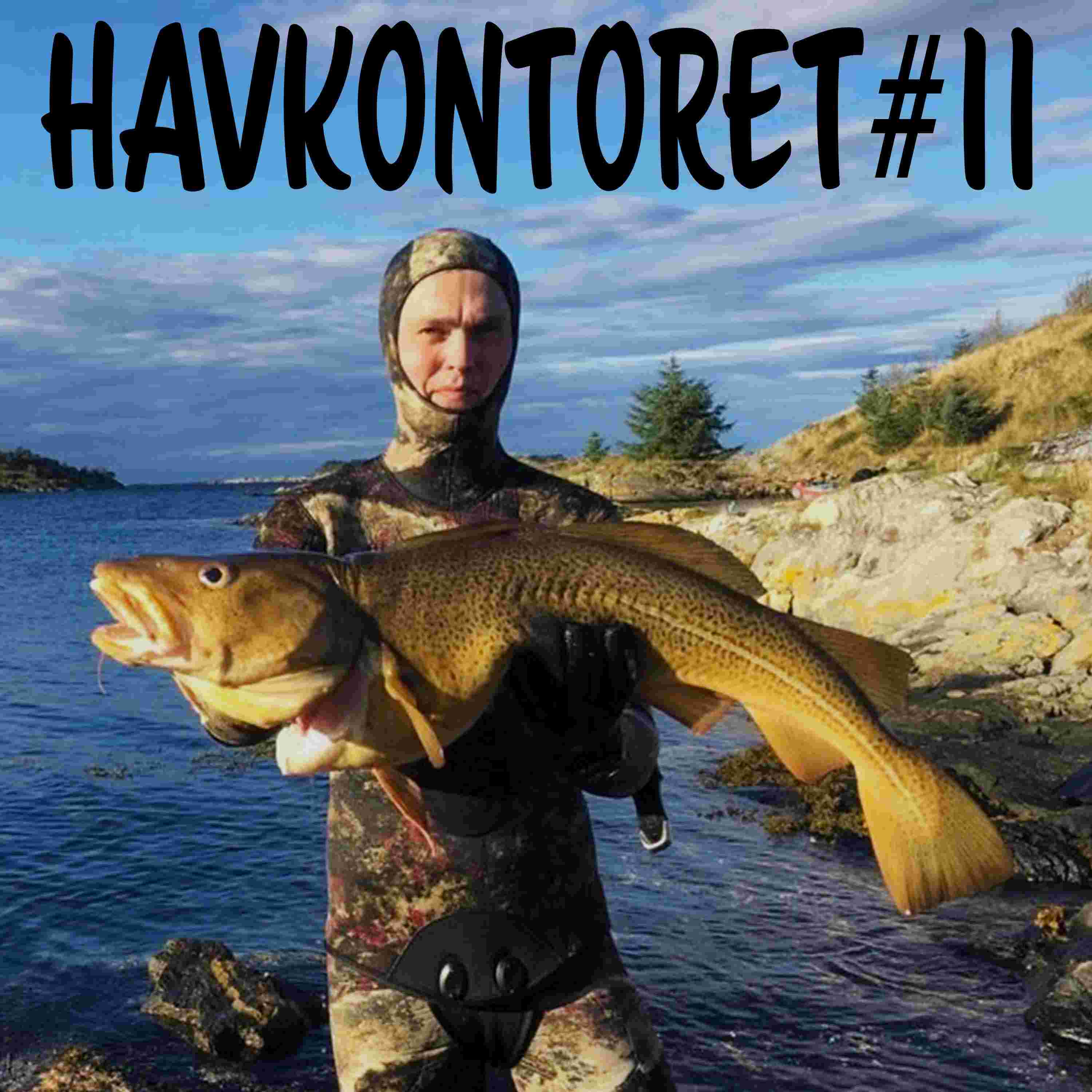 https://pbcdn1.podbean.com/imglogo/ep-logo/pbblog15560033/havkontoret11_qsbp6r.jpeg