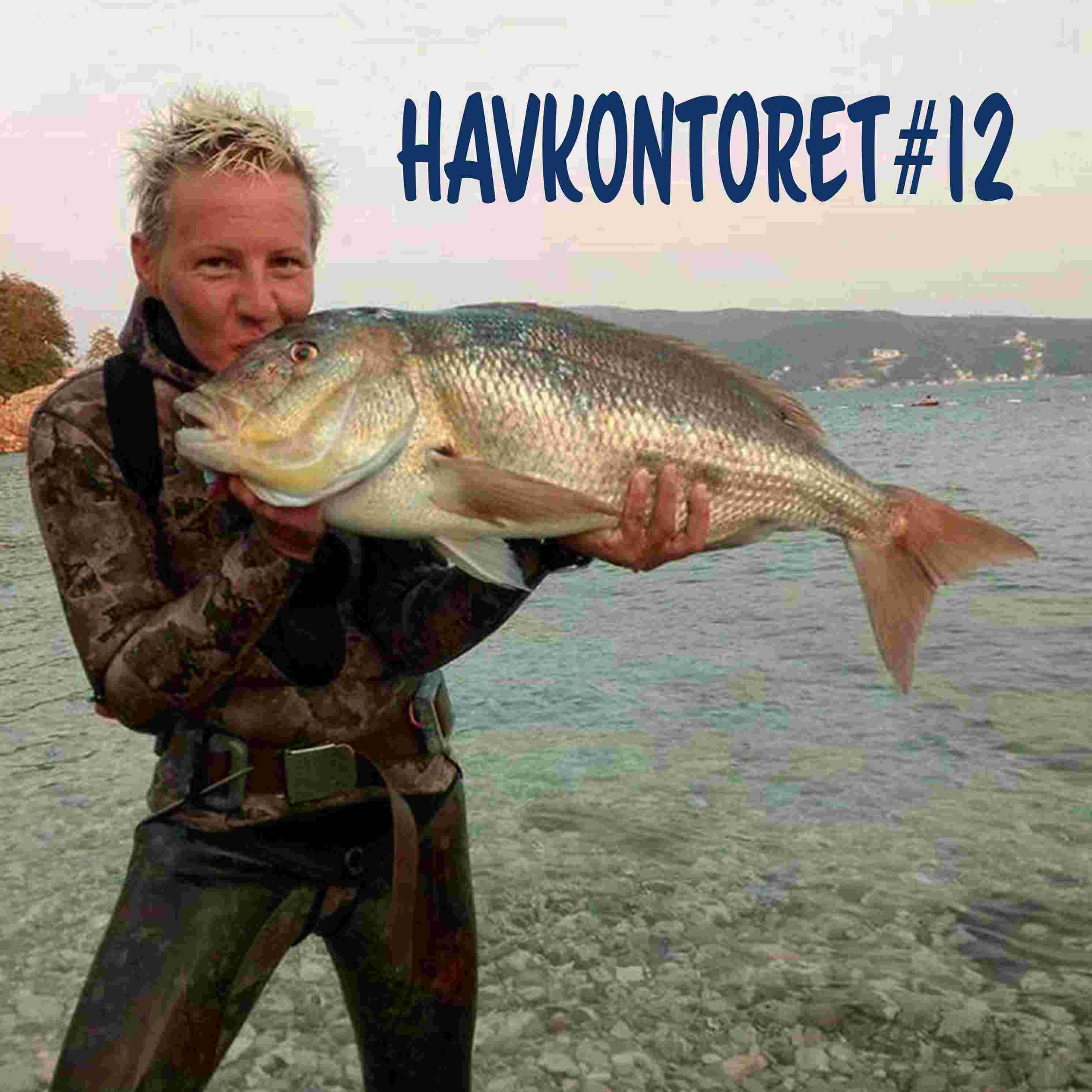 https://pbcdn1.podbean.com/imglogo/ep-logo/pbblog15560033/havkontoret12_yzukqt.jpeg