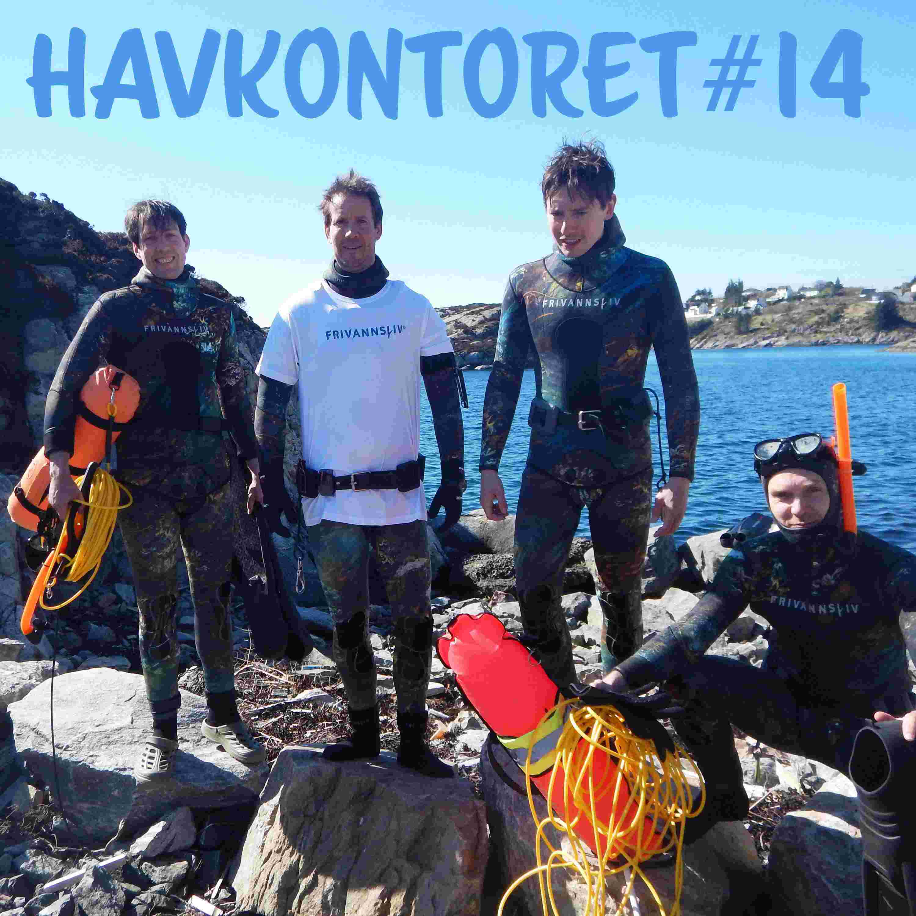 https://pbcdn1.podbean.com/imglogo/ep-logo/pbblog15560033/havkontoret14.jpg