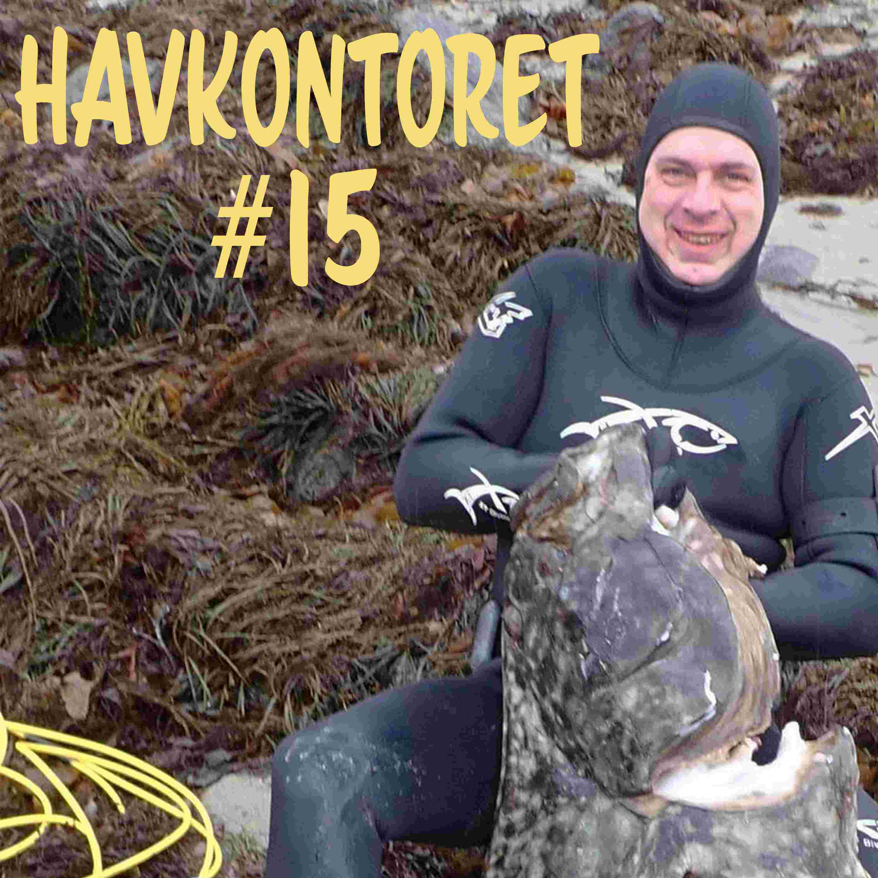 https://pbcdn1.podbean.com/imglogo/ep-logo/pbblog15560033/havkontoret15.jpeg