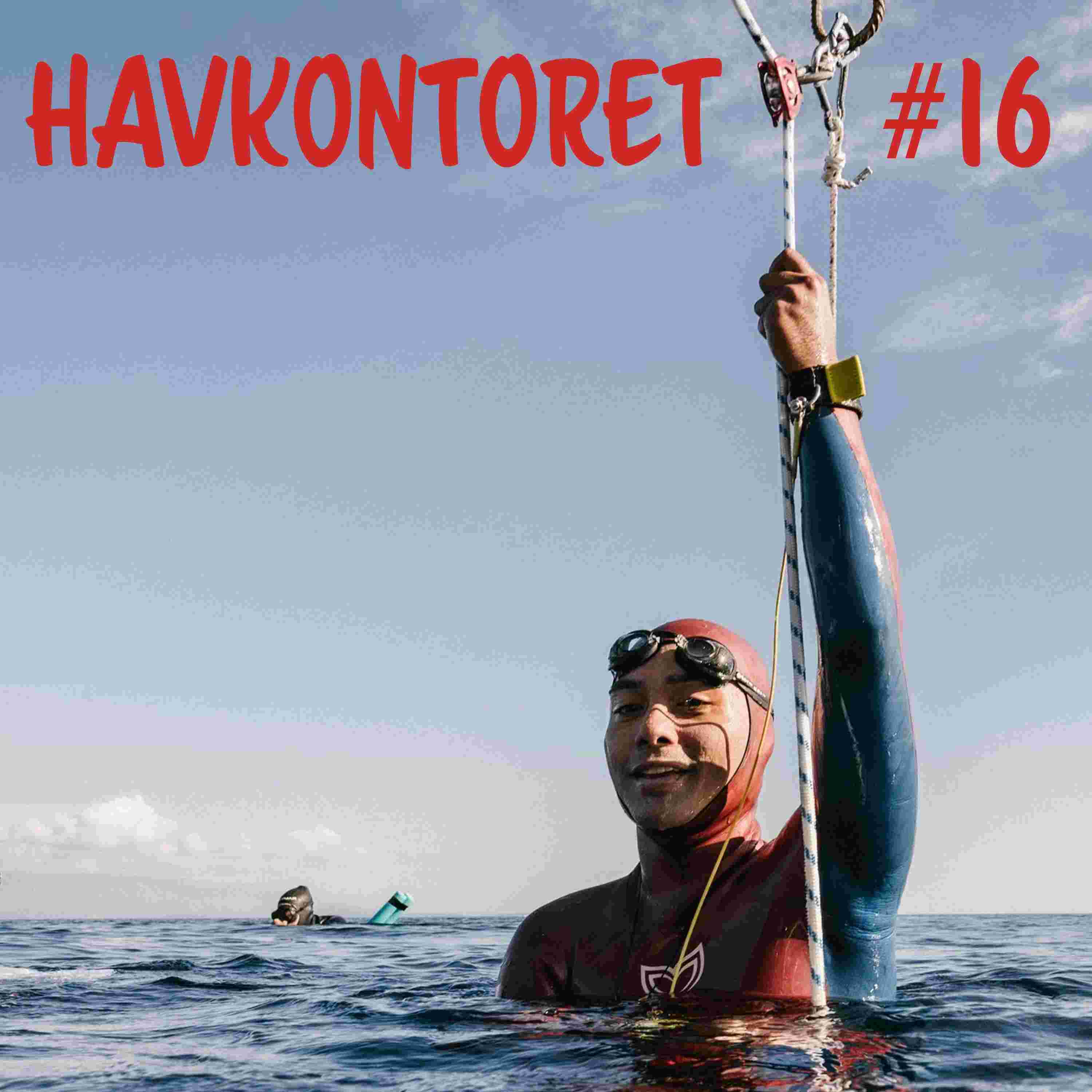 https://pbcdn1.podbean.com/imglogo/ep-logo/pbblog15560033/havkontoret_16_4rvque.jpeg