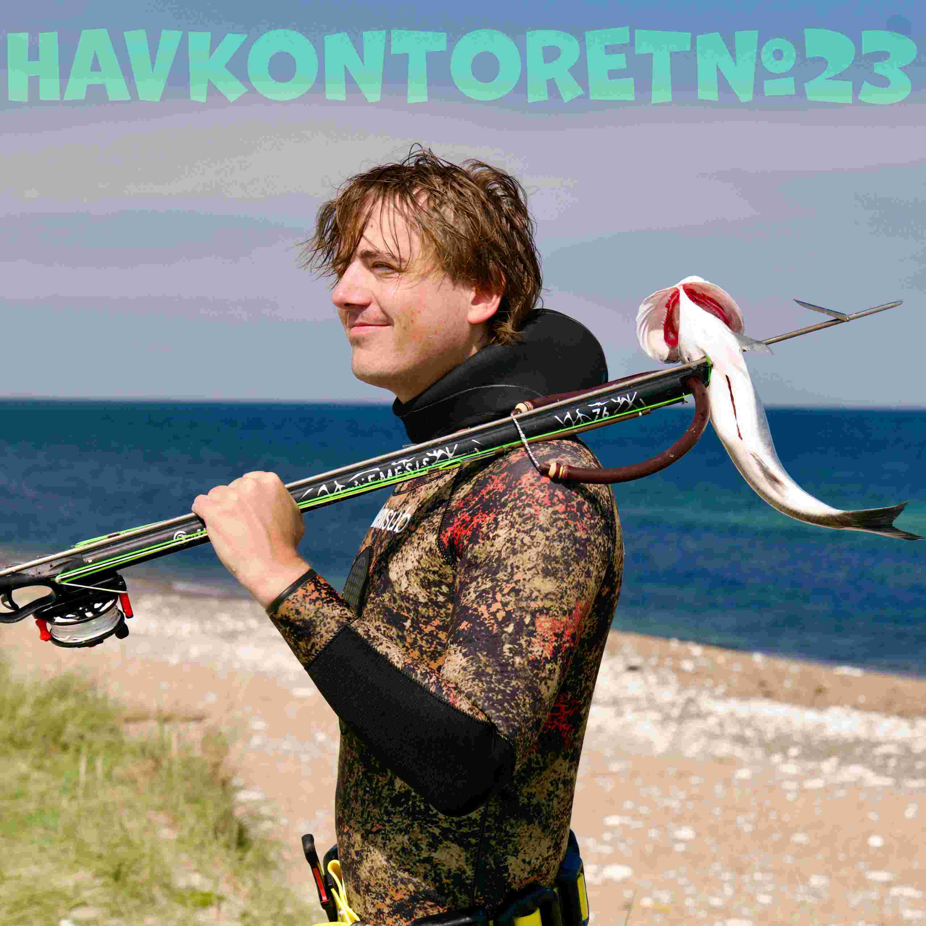 https://pbcdn1.podbean.com/imglogo/ep-logo/pbblog15560033/havkontoret_236c6fe.jpg