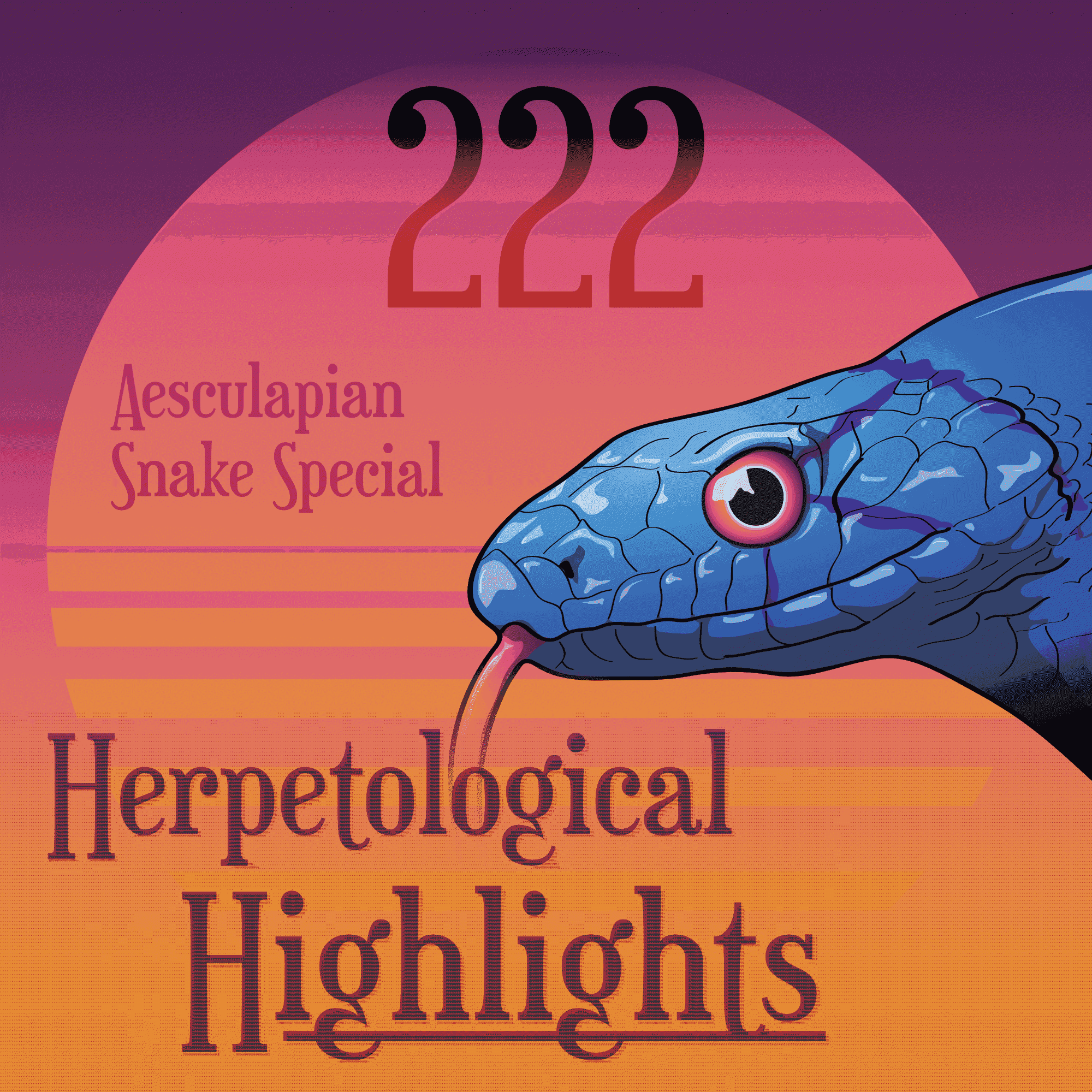 https://pbcdn1.podbean.com/imglogo/ep-logo/pbblog1783695/Episode-222-Art-2000px.png
