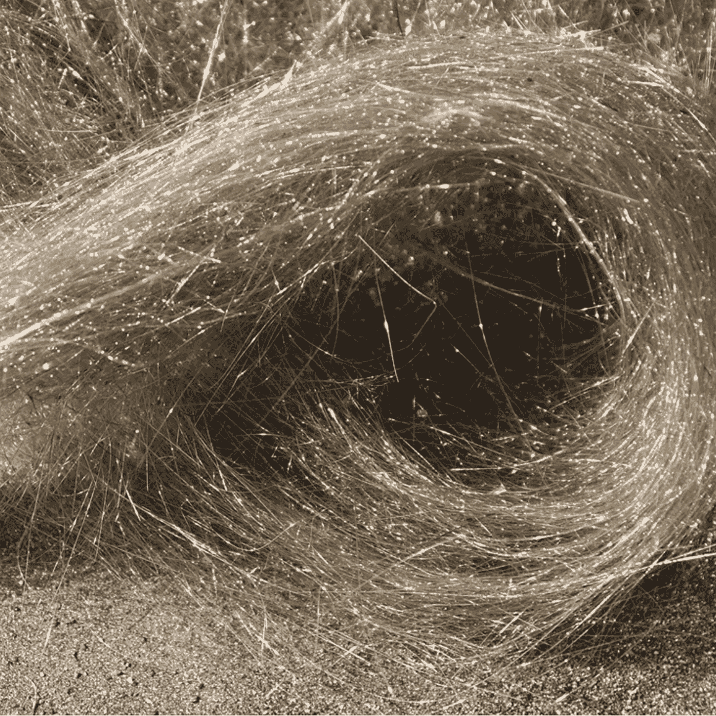 https://physicsworld.com/wp-content/uploads/2025/02/Peles-hair-1400x1400-1.png