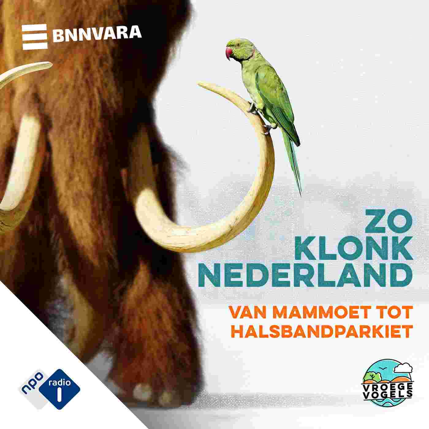 https://podcast.npo.nl/data/thumb/feeditem/95526.1400.29bfe5b3e24cb1c2f11739161abcab01.jpg