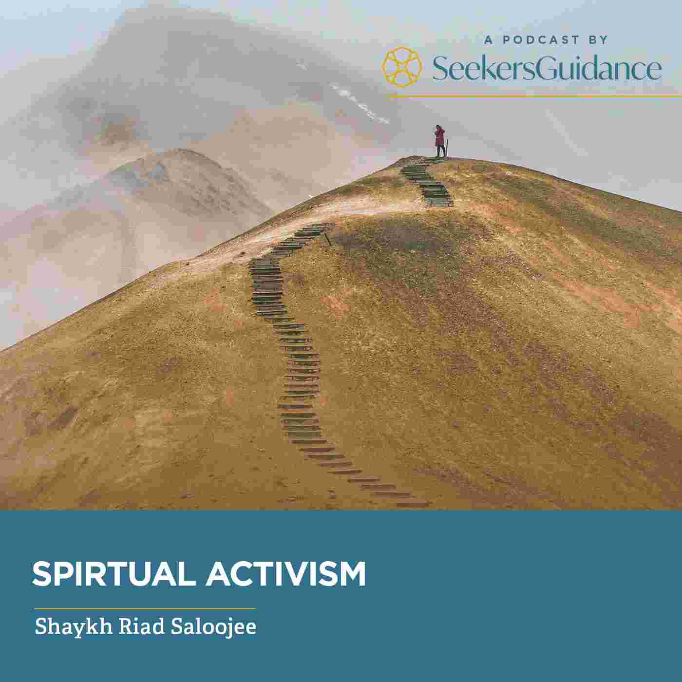https://seekersguidance.org/wp-content/uploads/2019/08/Spirtual-Activism.jpg