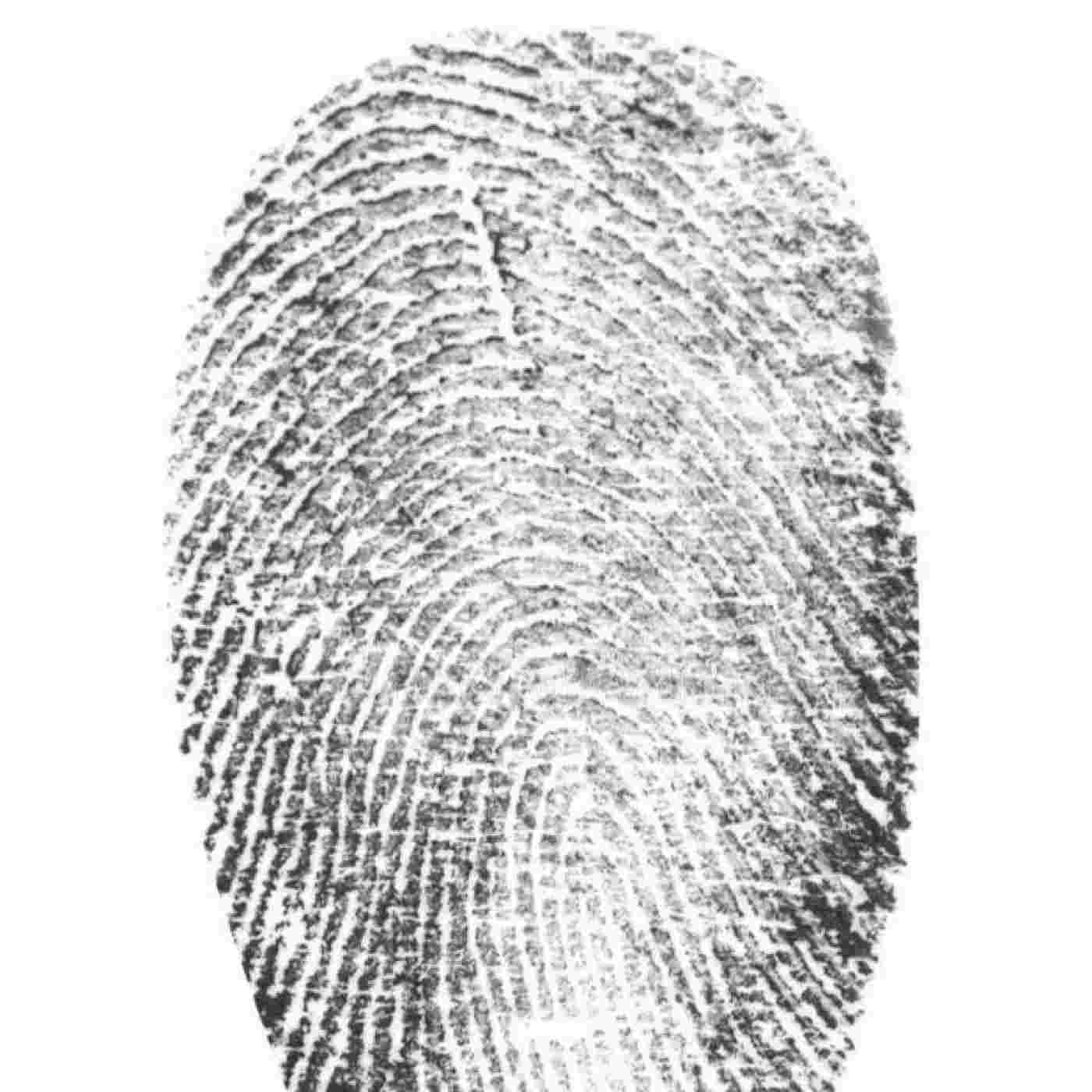 https://static-1.ivoox.com/audios/4/c/6/c/4c6c97c553e4bf41ecabb2d0c7836411_XXL.jpg
