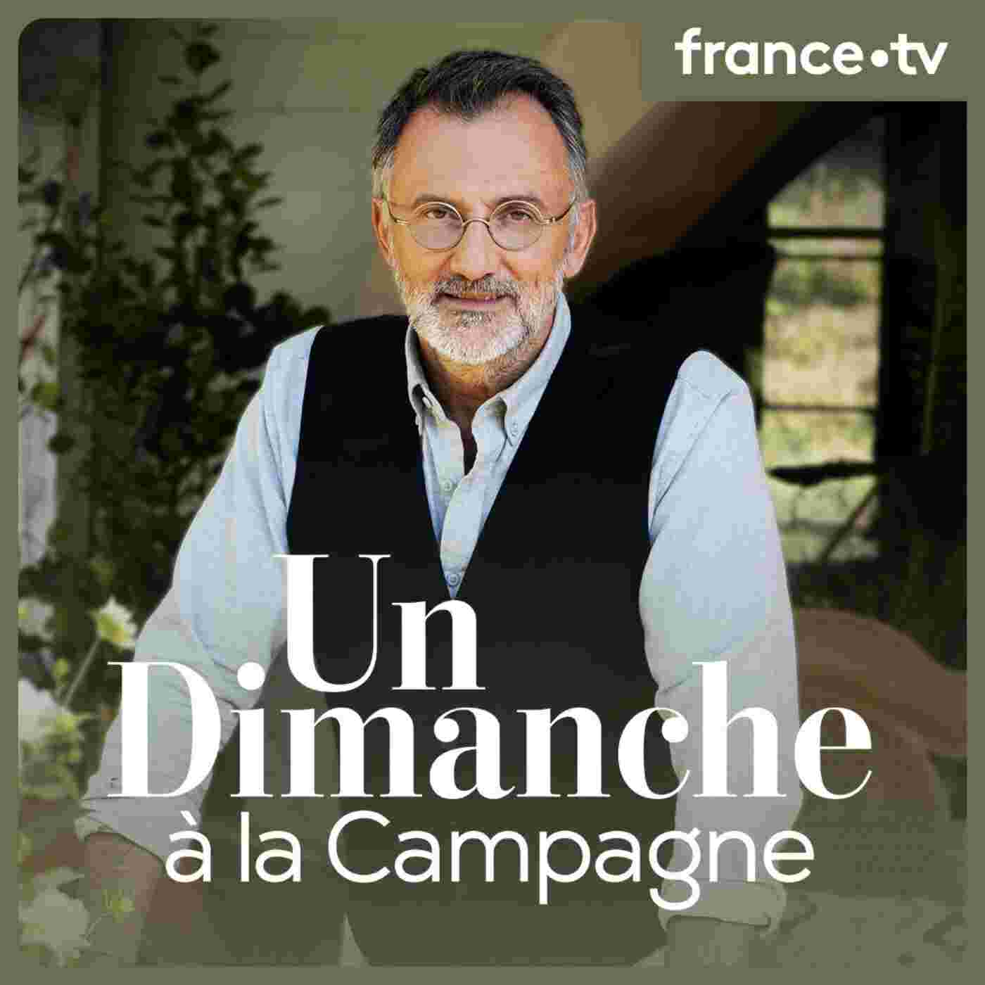 https://static.audiomeans.fr/img/episode/f94c8b9d-d084-4ee3-bd83-93d87719003f.jpg
