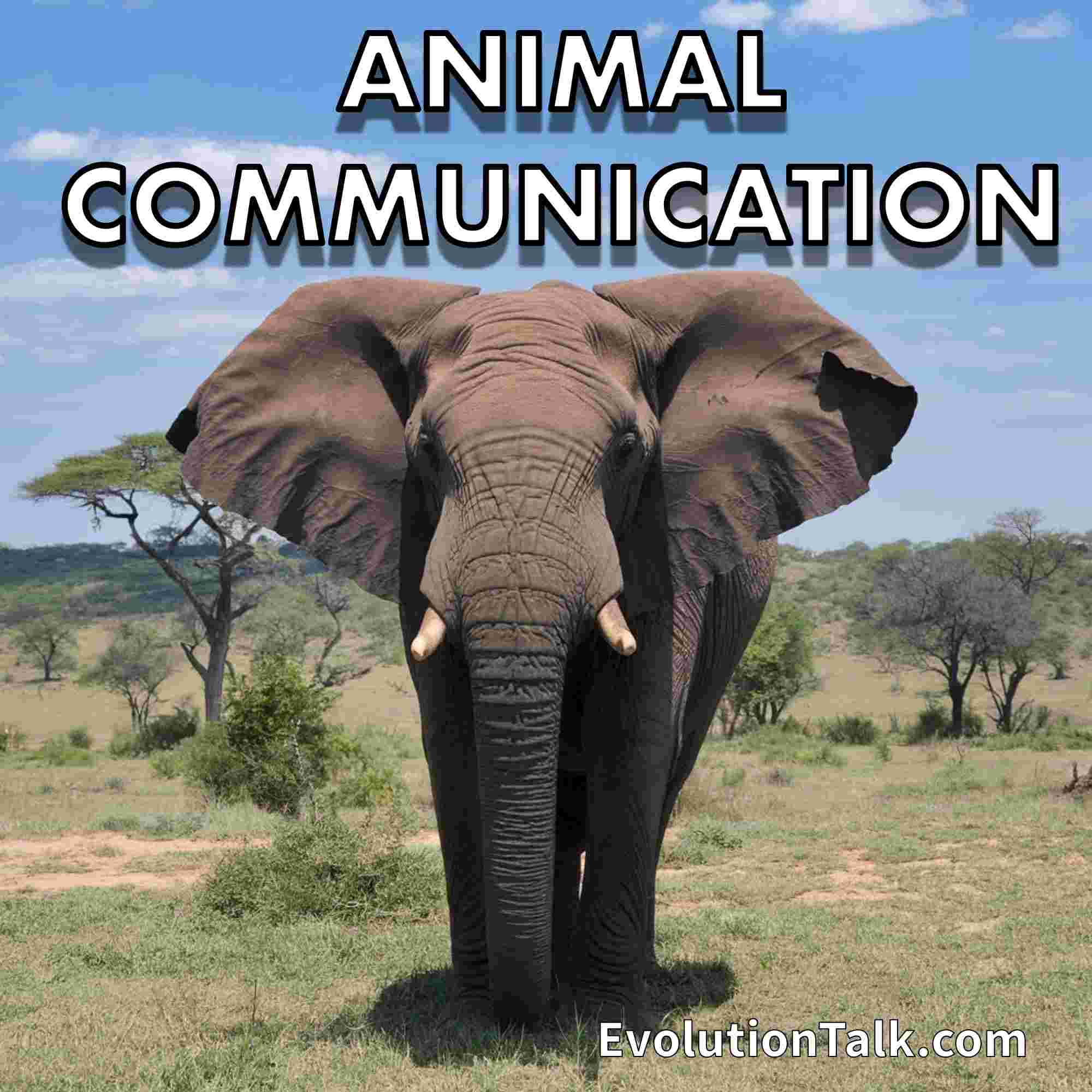 https://static.libsyn.com/p/assets/0/e/9/9/0e999677899b5e7027a2322813b393ee/157_Communication2.jpg