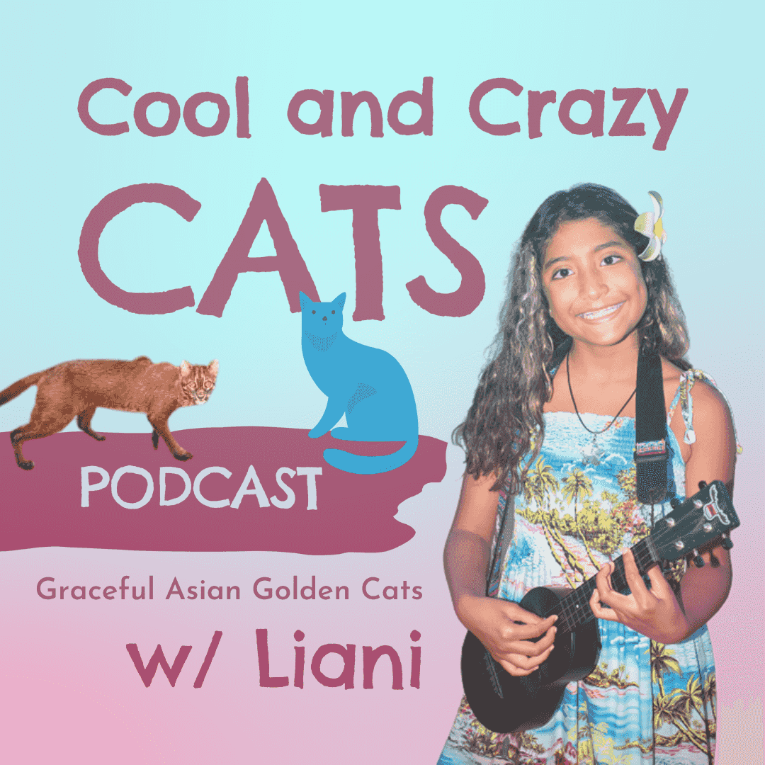 https://static.libsyn.com/p/assets/1/b/9/8/1b98c21c993bafa75f2e77a3093c12a1/Asian_Golden_Cats.png