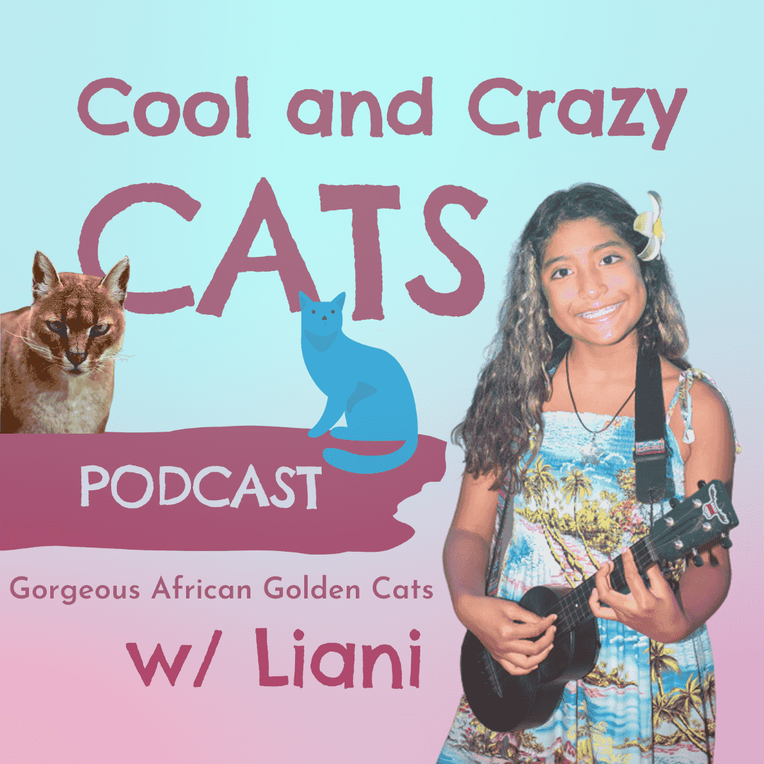https://static.libsyn.com/p/assets/4/a/4/0/4a40bd0dfdef047988c4a68c3ddbc4f2/African_Golden_Cats.png