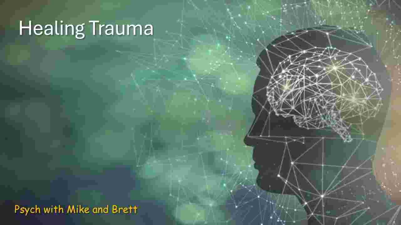 https://static.libsyn.com/p/assets/6/0/5/3/6053ad7ea7fa348de55e3c100dce7605/Healing_Trauma.jpg