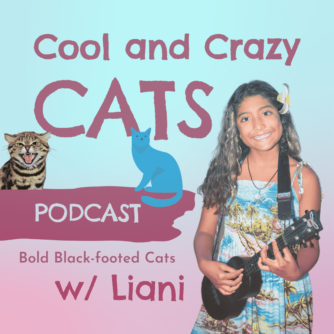https://static.libsyn.com/p/assets/7/8/e/c/78ec076076311edcd959afa2a1bf1c87/Black-footed_Cats.png