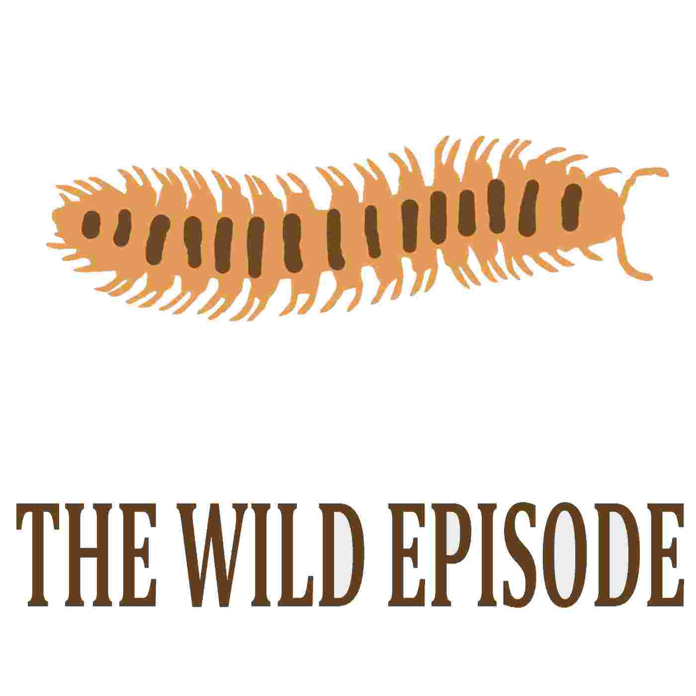 https://static.libsyn.com/p/assets/9/a/5/b/9a5bbcae23b885e6e5bbc093207a2619/92_train_millipede.jpg