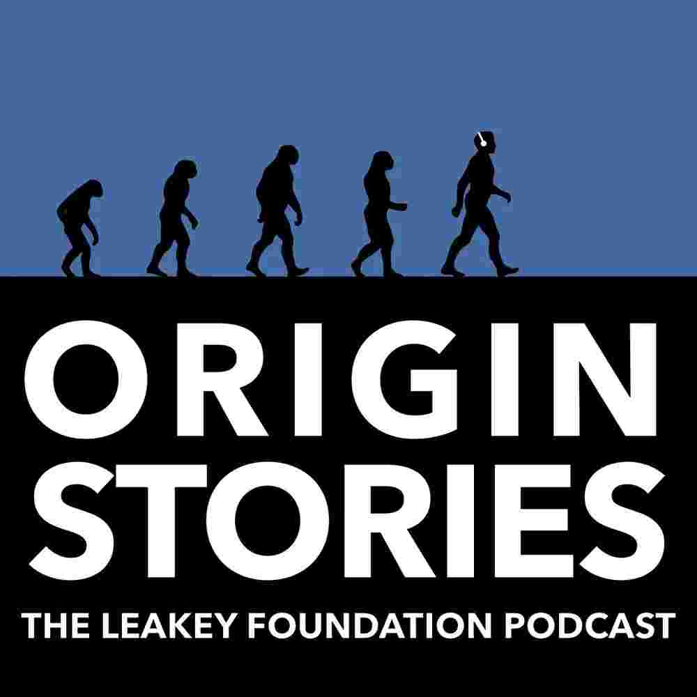https://static.libsyn.com/p/assets/e/3/3/c/e33cf1a62c1dbe84e55e3c100dce7605/originstories_logo.jpg