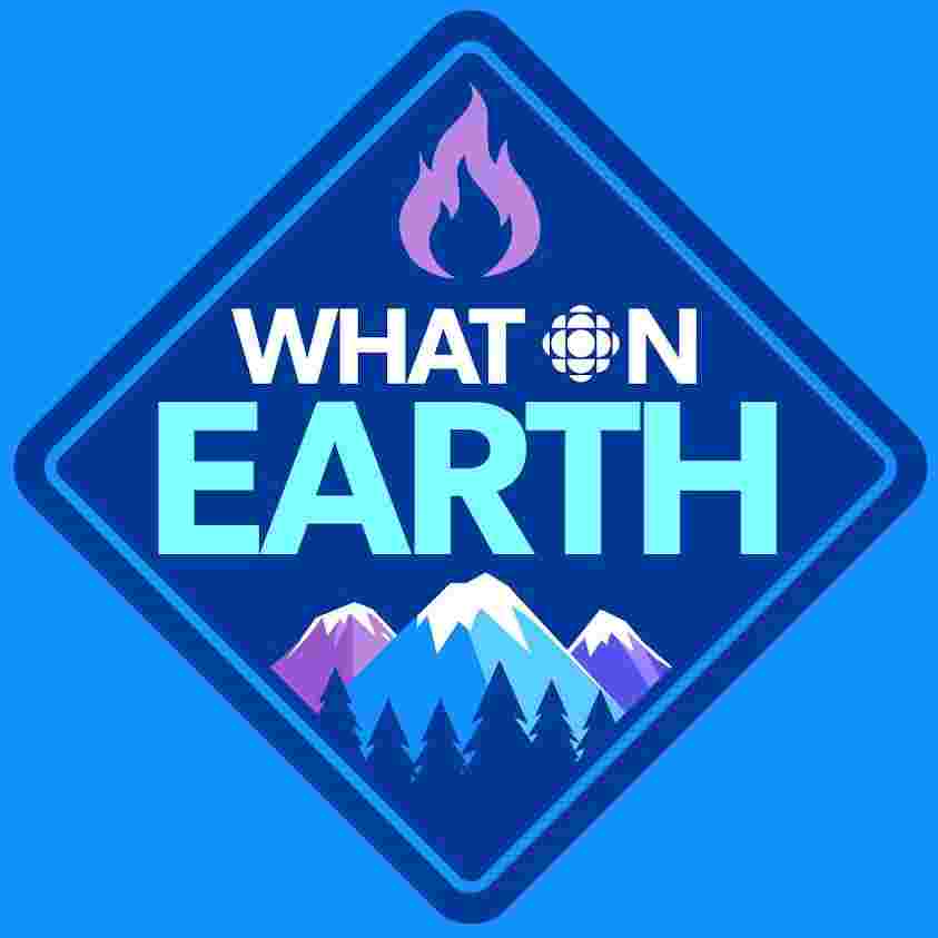 https://www.cbc.ca/radio/podcasts/images/episodeimages/whatonearth-promo.jpeg