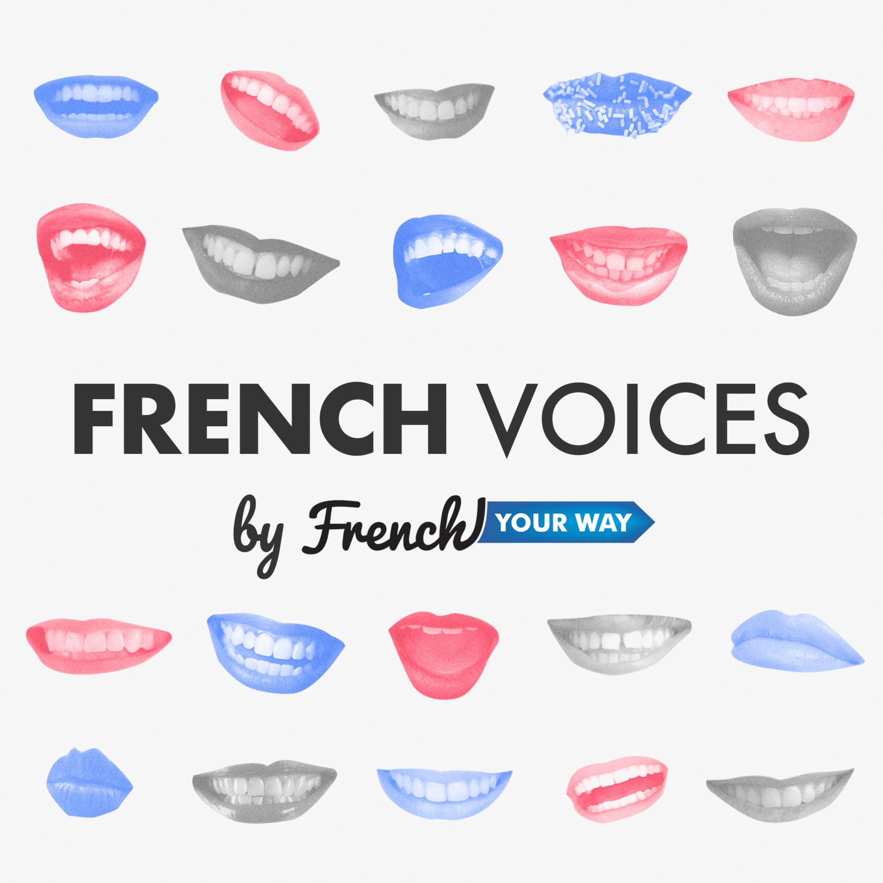http://www.frenchyourway.com.au/img/FV_Artwork_new.jpg