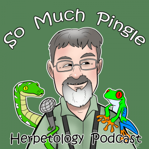 http://www.somuchpingle.com/wp-content/uploads/2020/06/SMP-logo-2-2-300x300.png