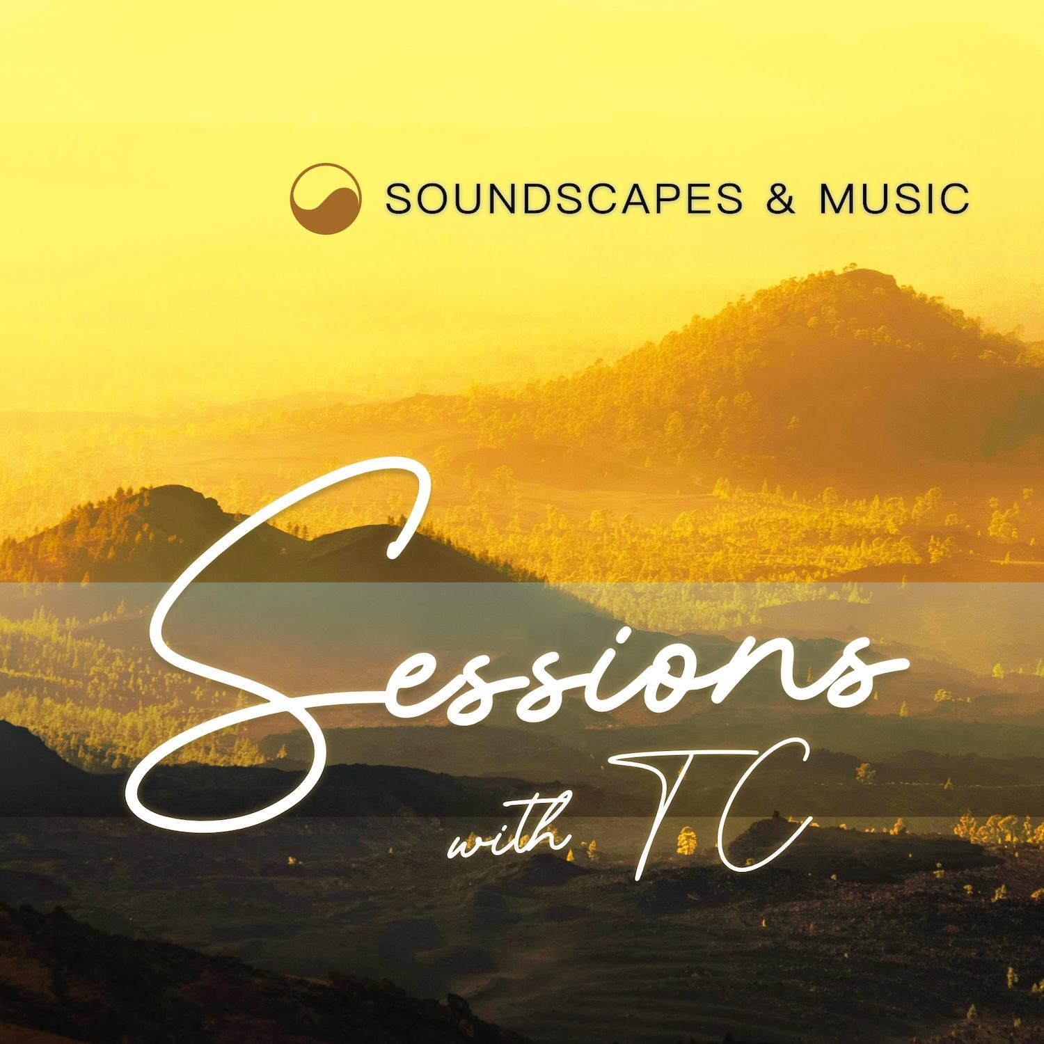https://ambient.zone/feeder/_images/Sessions_June2025_1500x.jpg